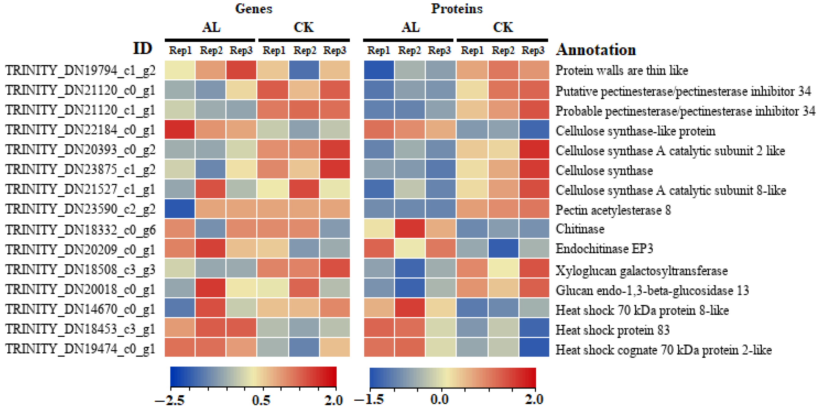 Agronomy 12 00969 g004