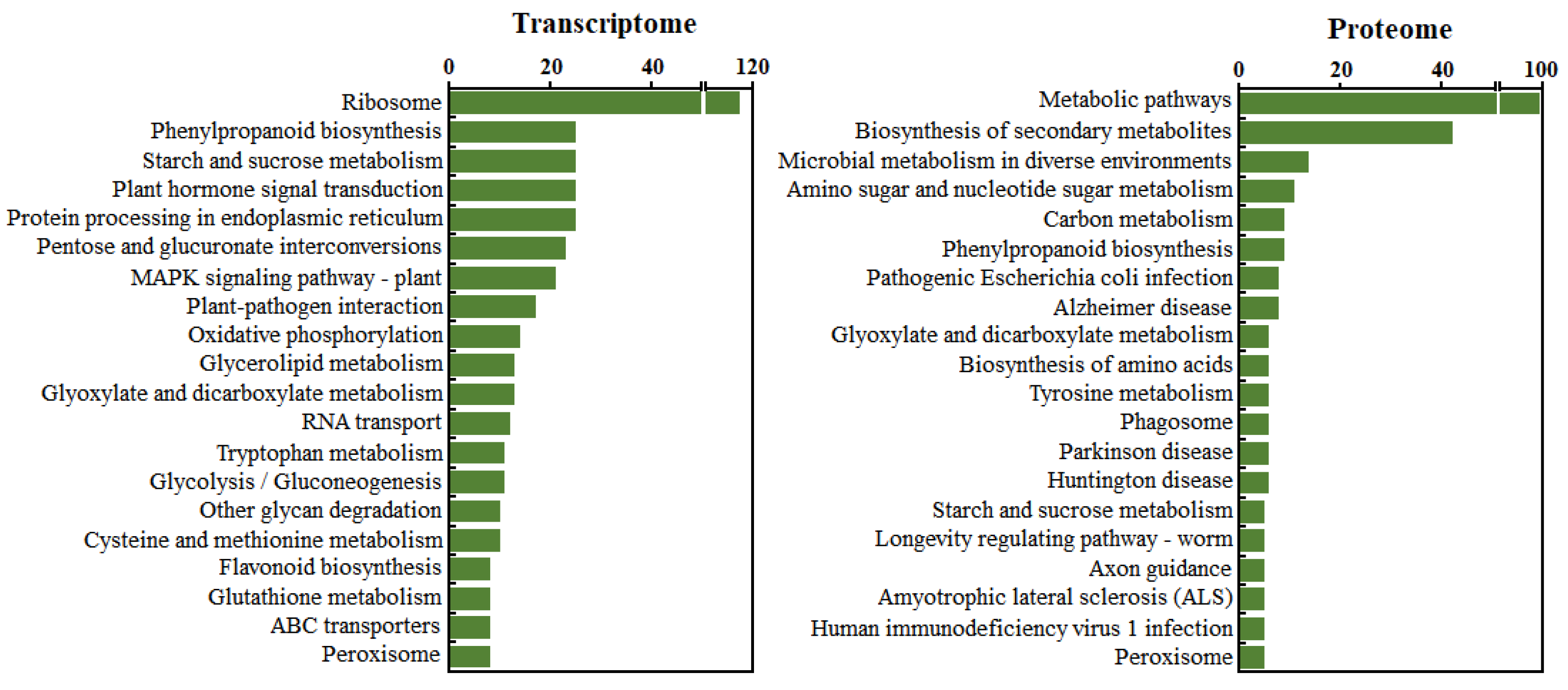 Agronomy 12 00969 g005