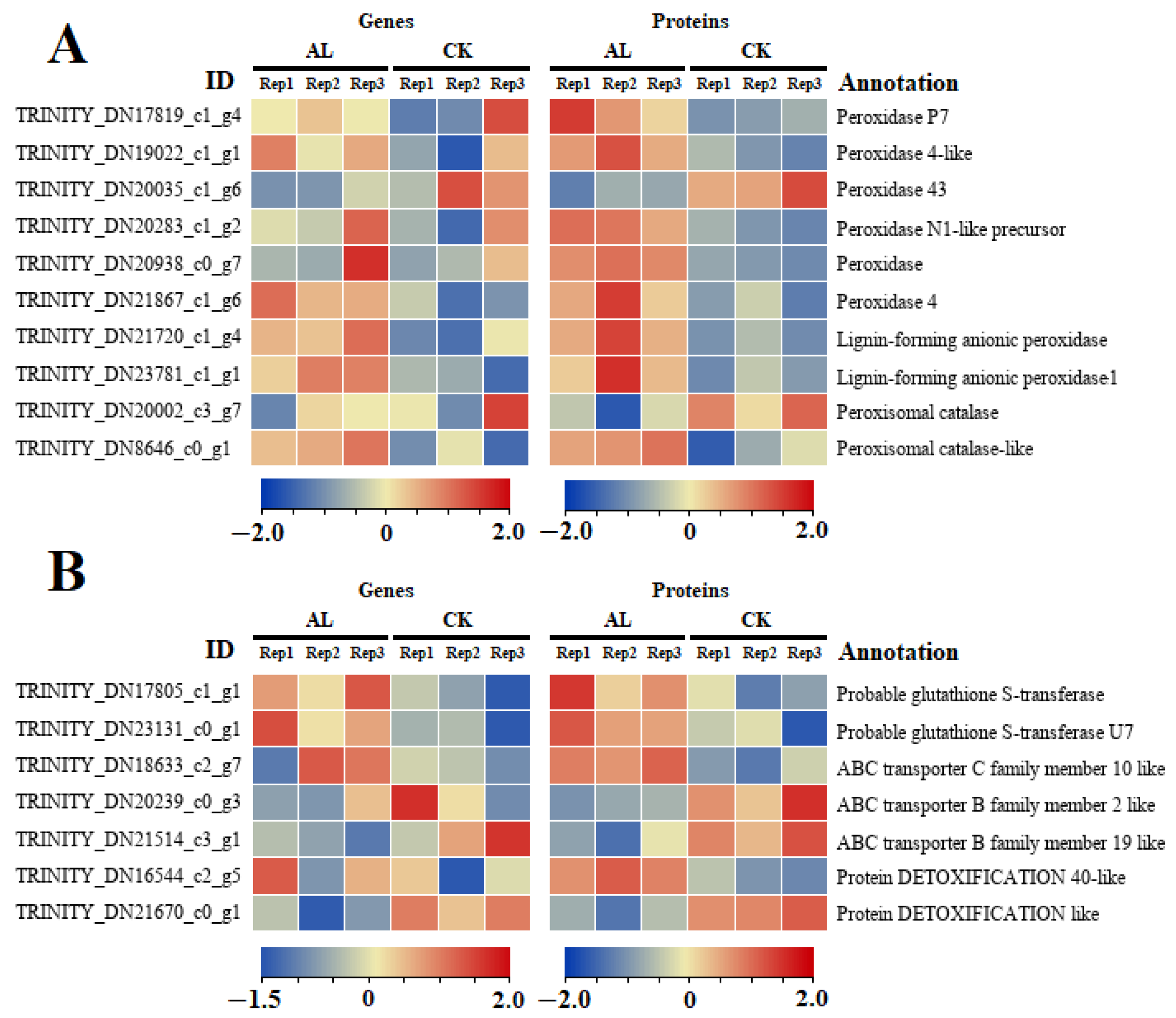 Agronomy 12 00969 g006