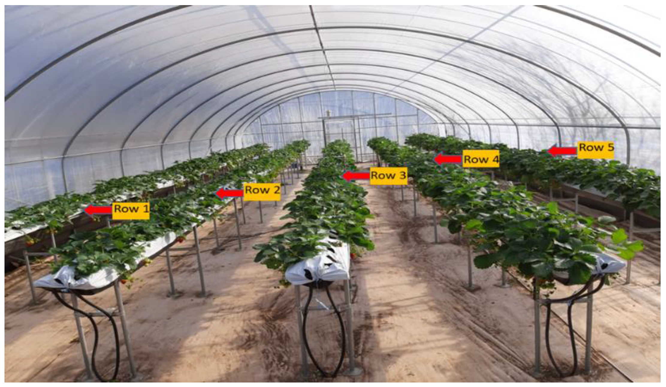 Agronomy 12 00981 g001