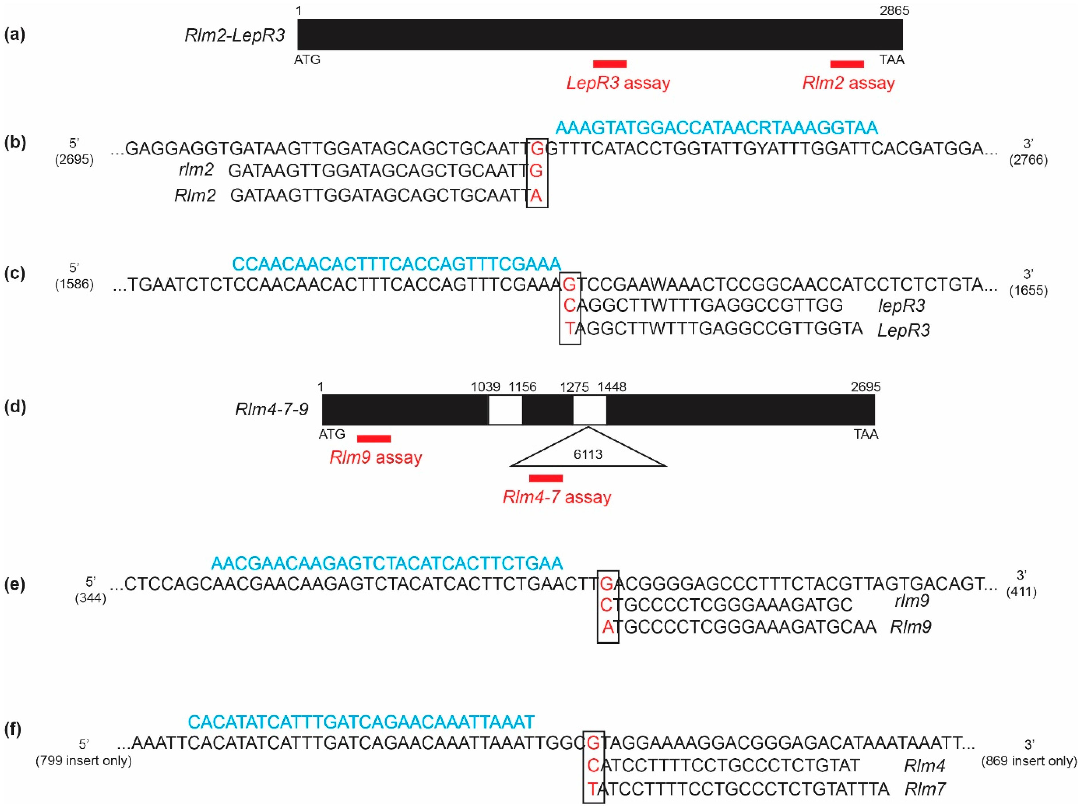 Agronomy 12 00985 g001