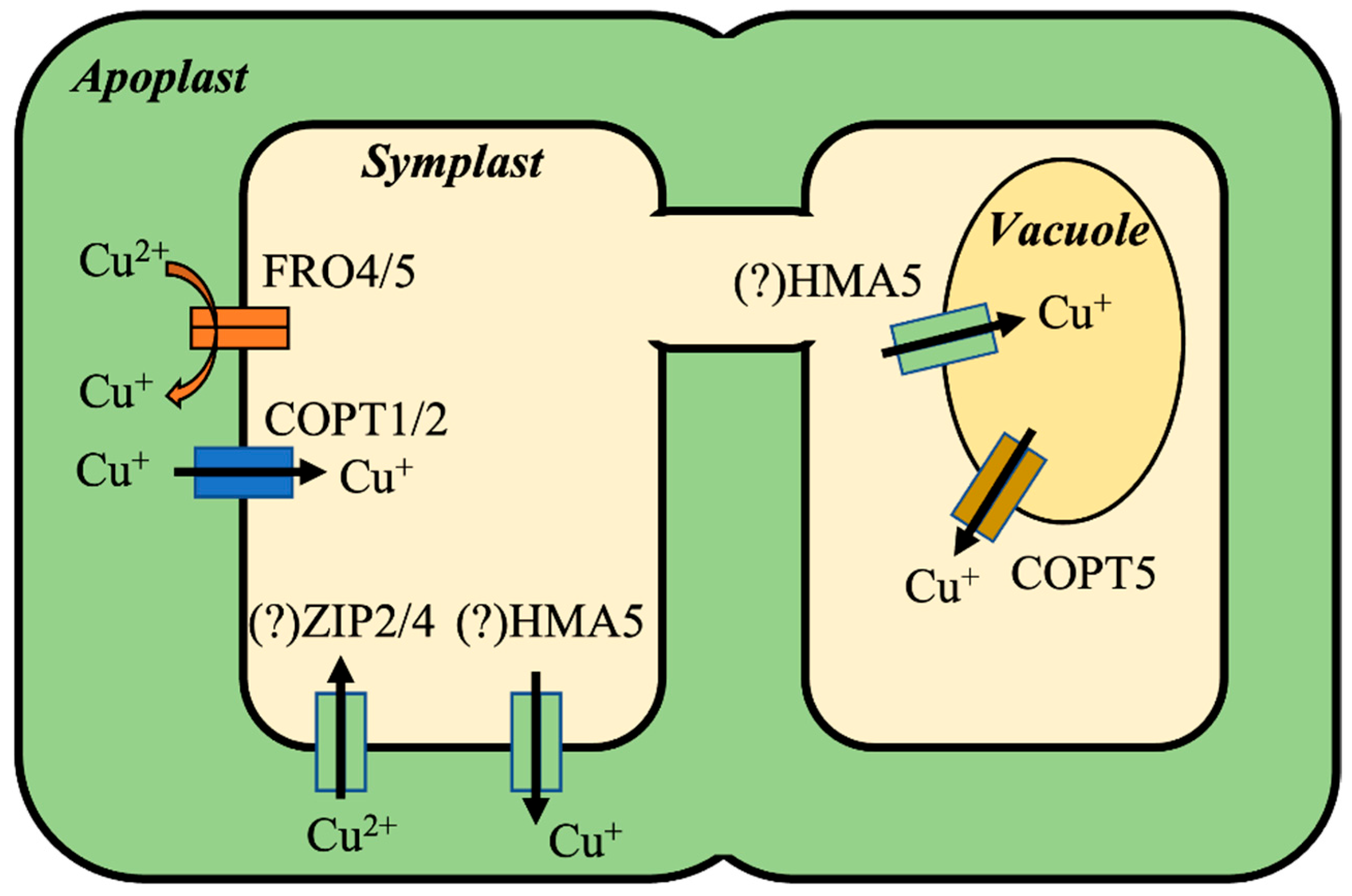 Agronomy 12 00994 g002