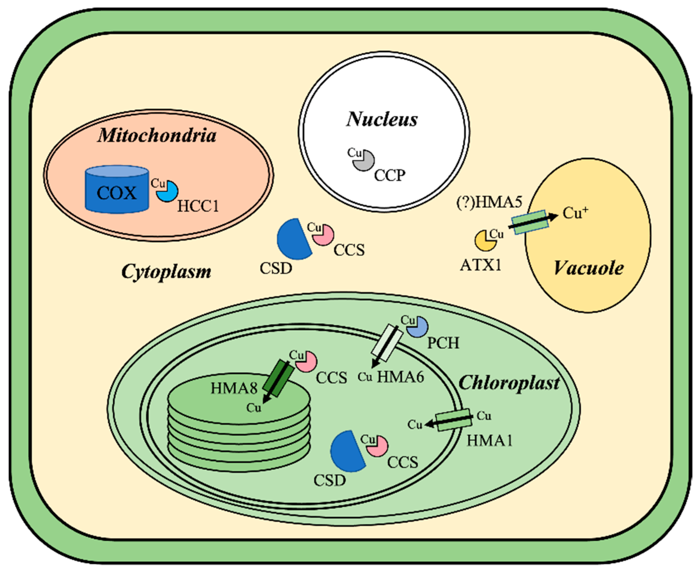 Agronomy 12 00994 g003