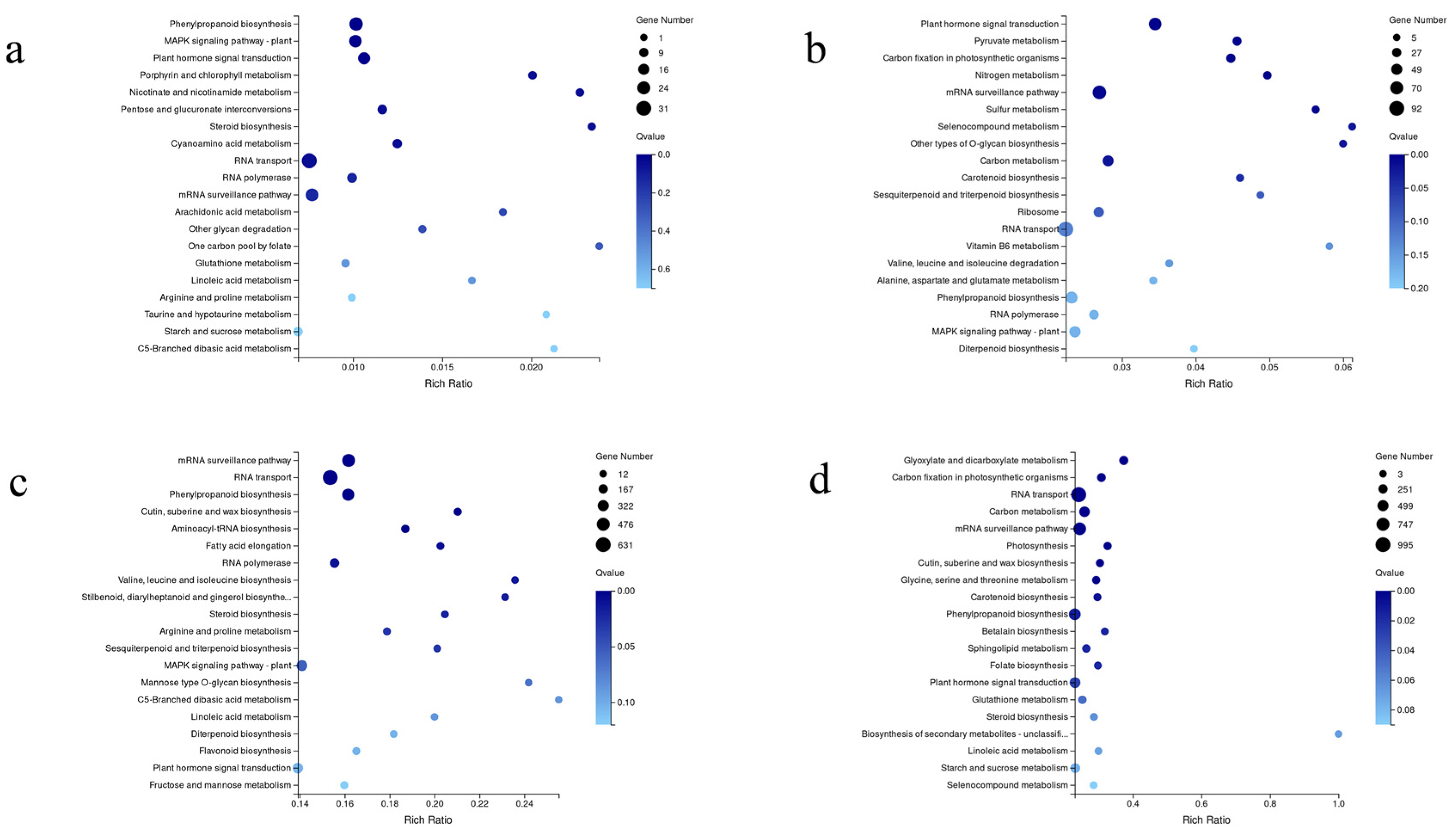 Agronomy 12 01005 g004