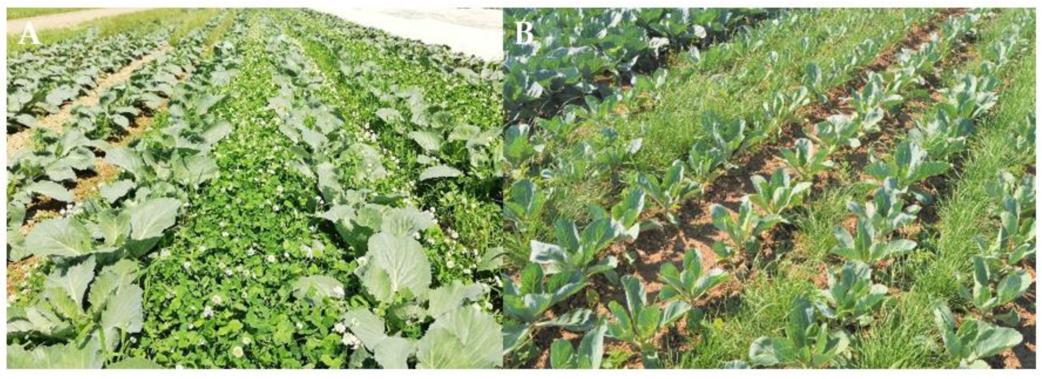 Agronomy 12 01009 g002