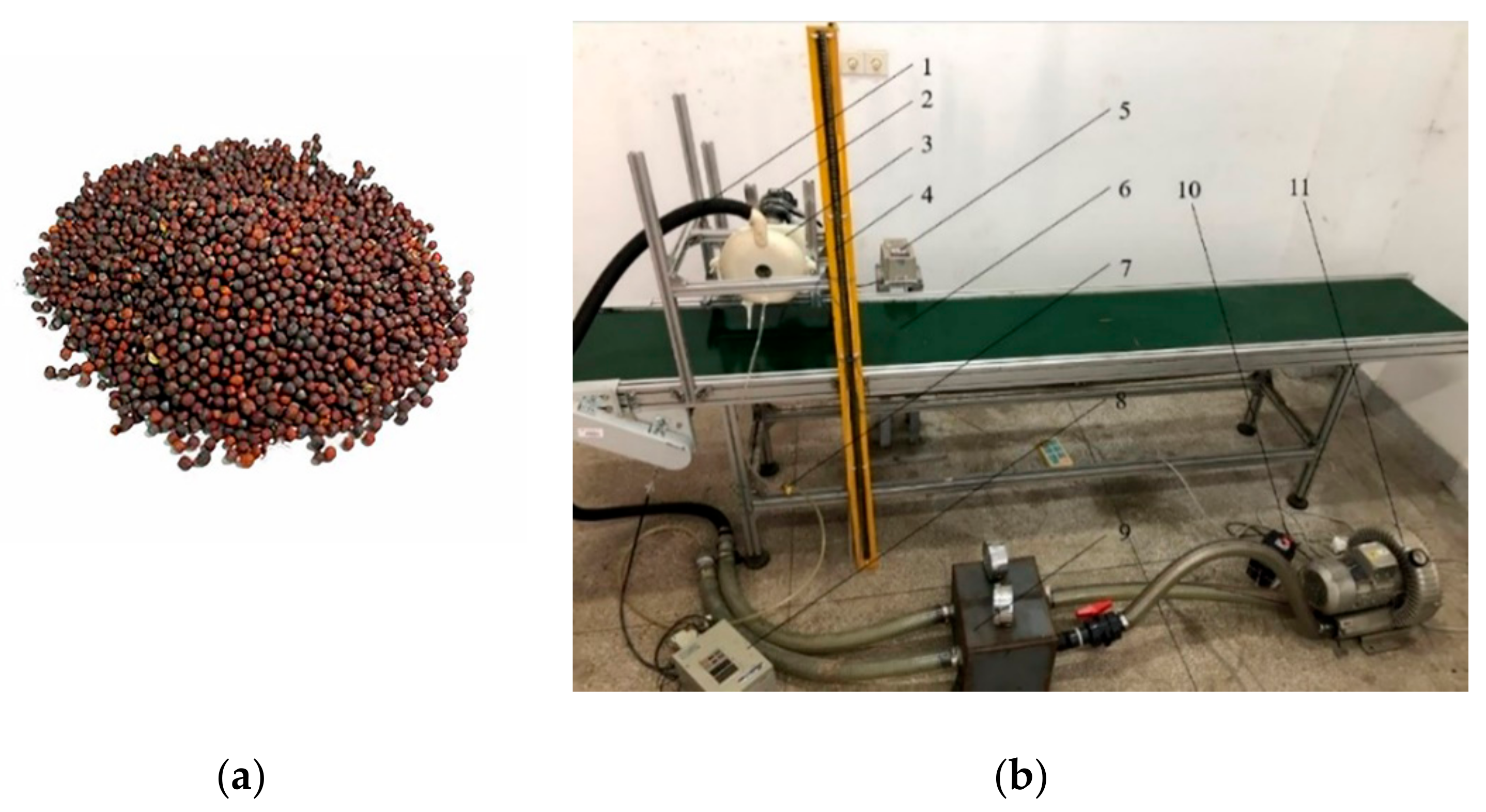 Agronomy 12 01011 g004