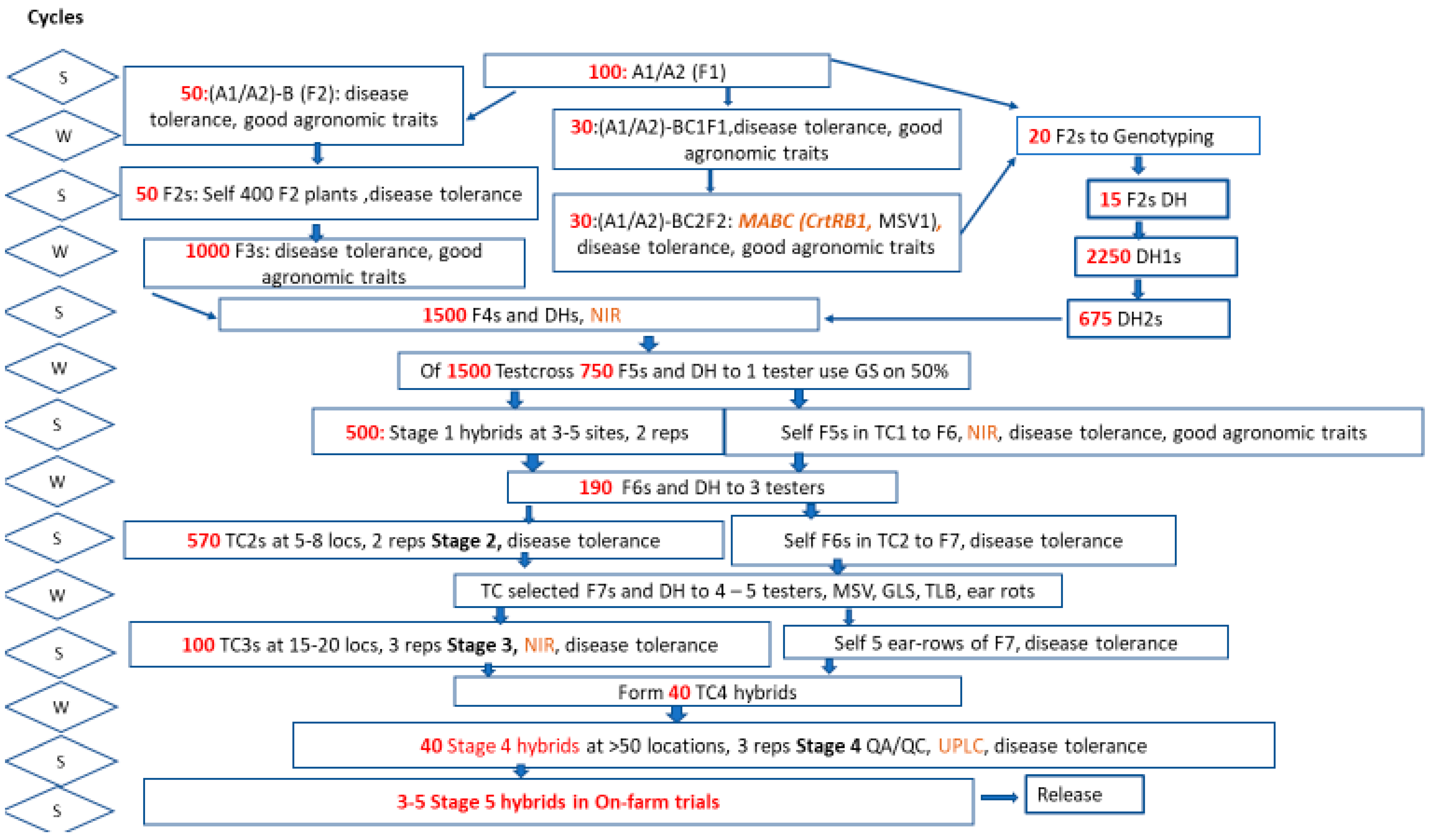 Agronomy 12 01027 g001