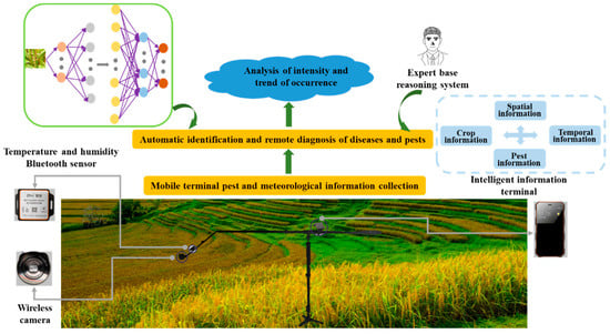 Agronomy 12 01046 g001 550