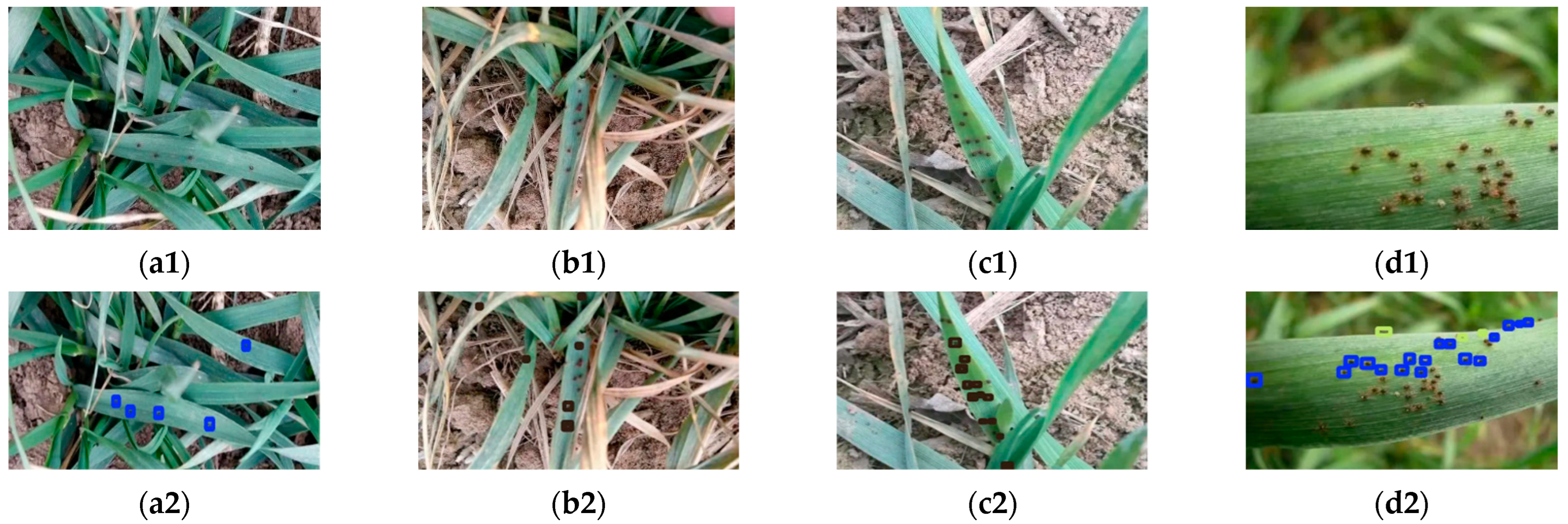 Agronomy 12 01046 g008