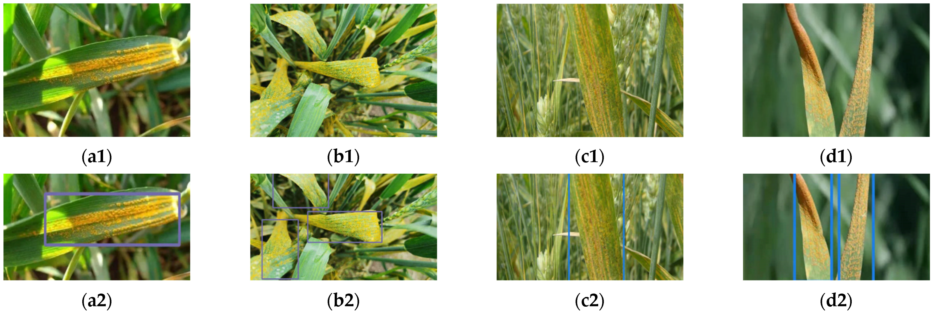 Agronomy 12 01046 g010