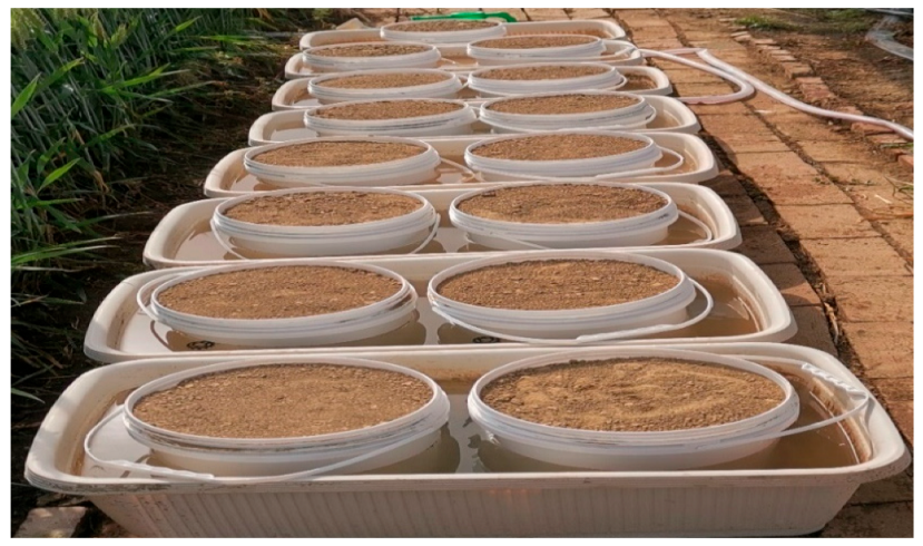 Agronomy 12 01067 g002