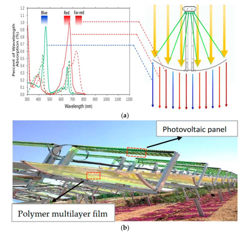 Agronomy 12 01067 g008