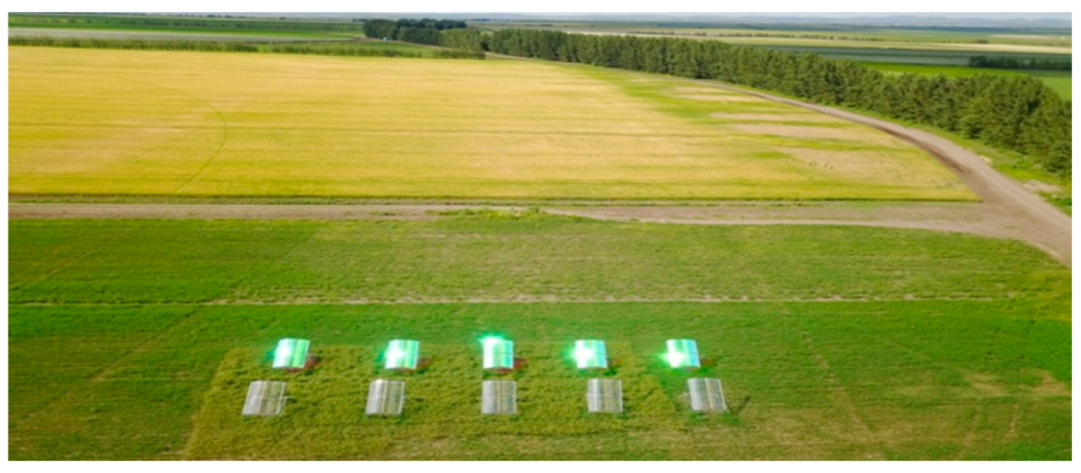 Agronomy 12 01067 g009