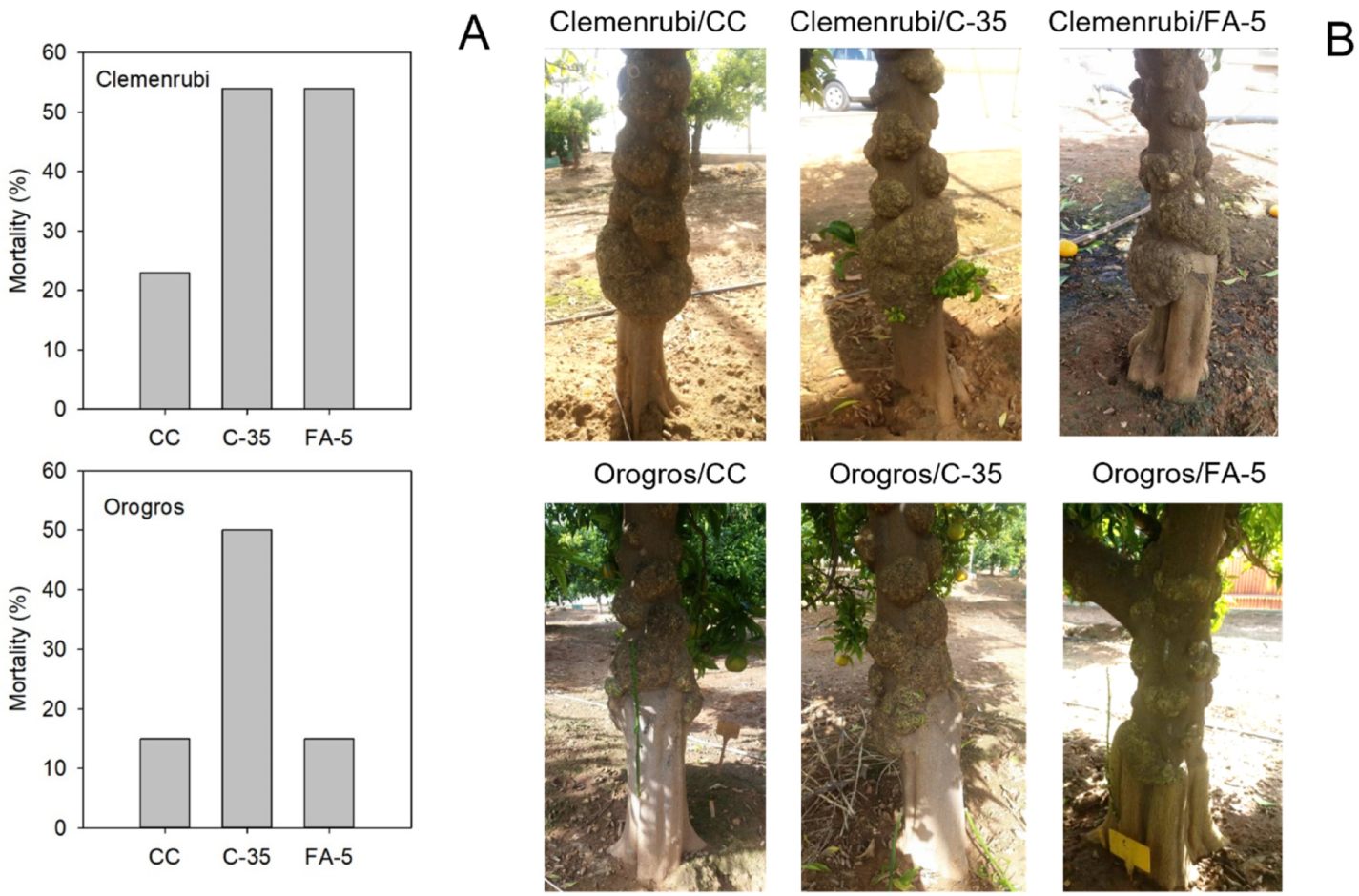 Agronomy 12 01072 g002