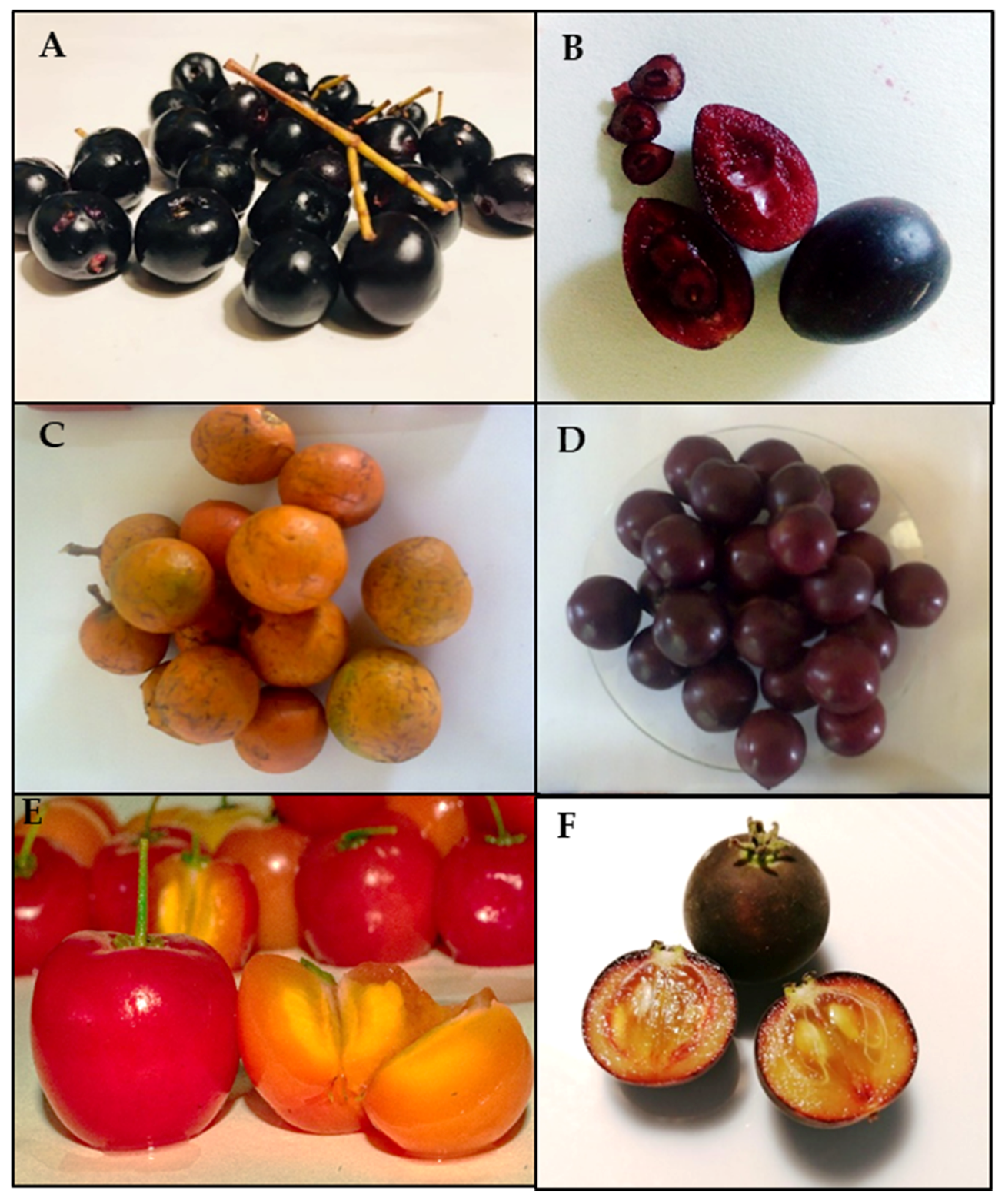 Agronomy 12 01073 g001