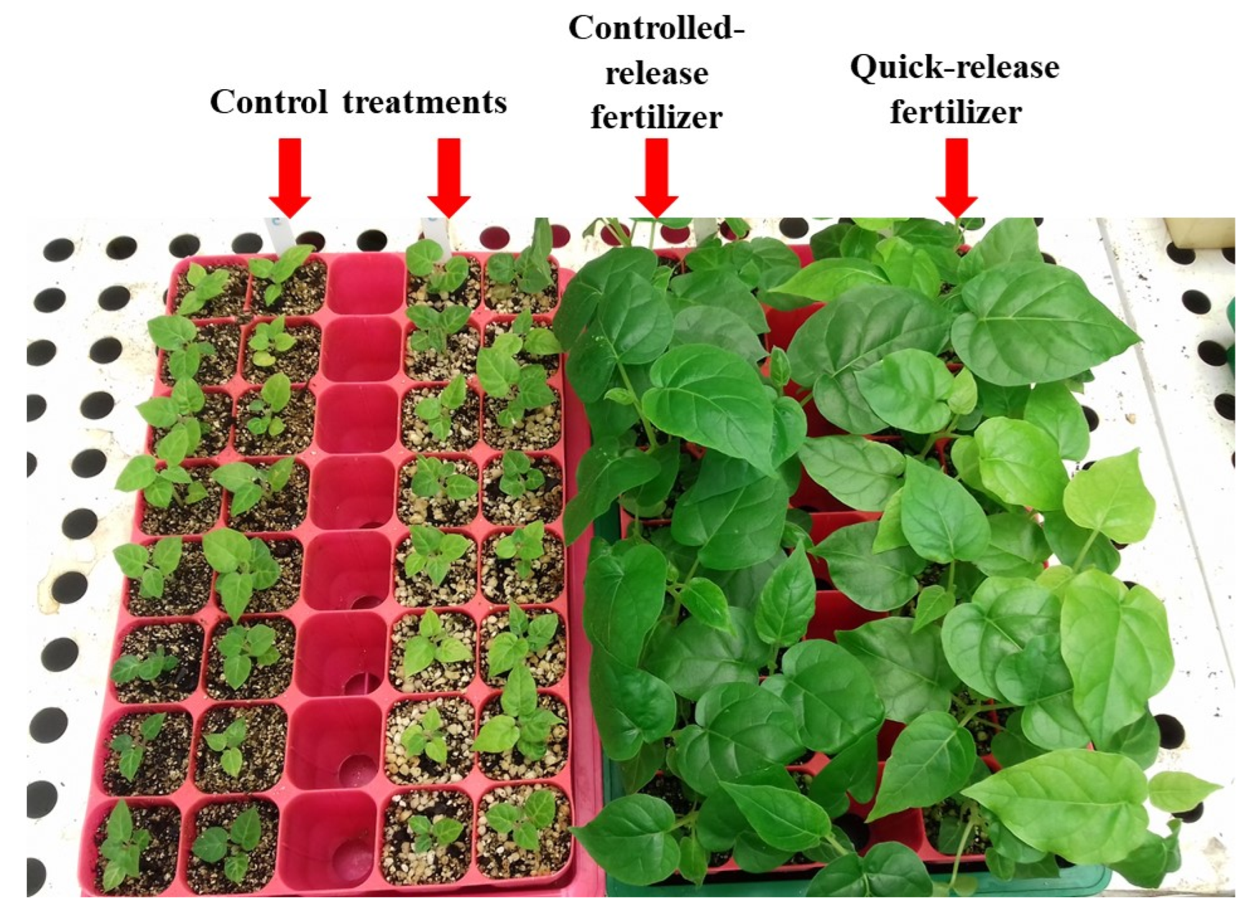 Agronomy 12 01082 g001
