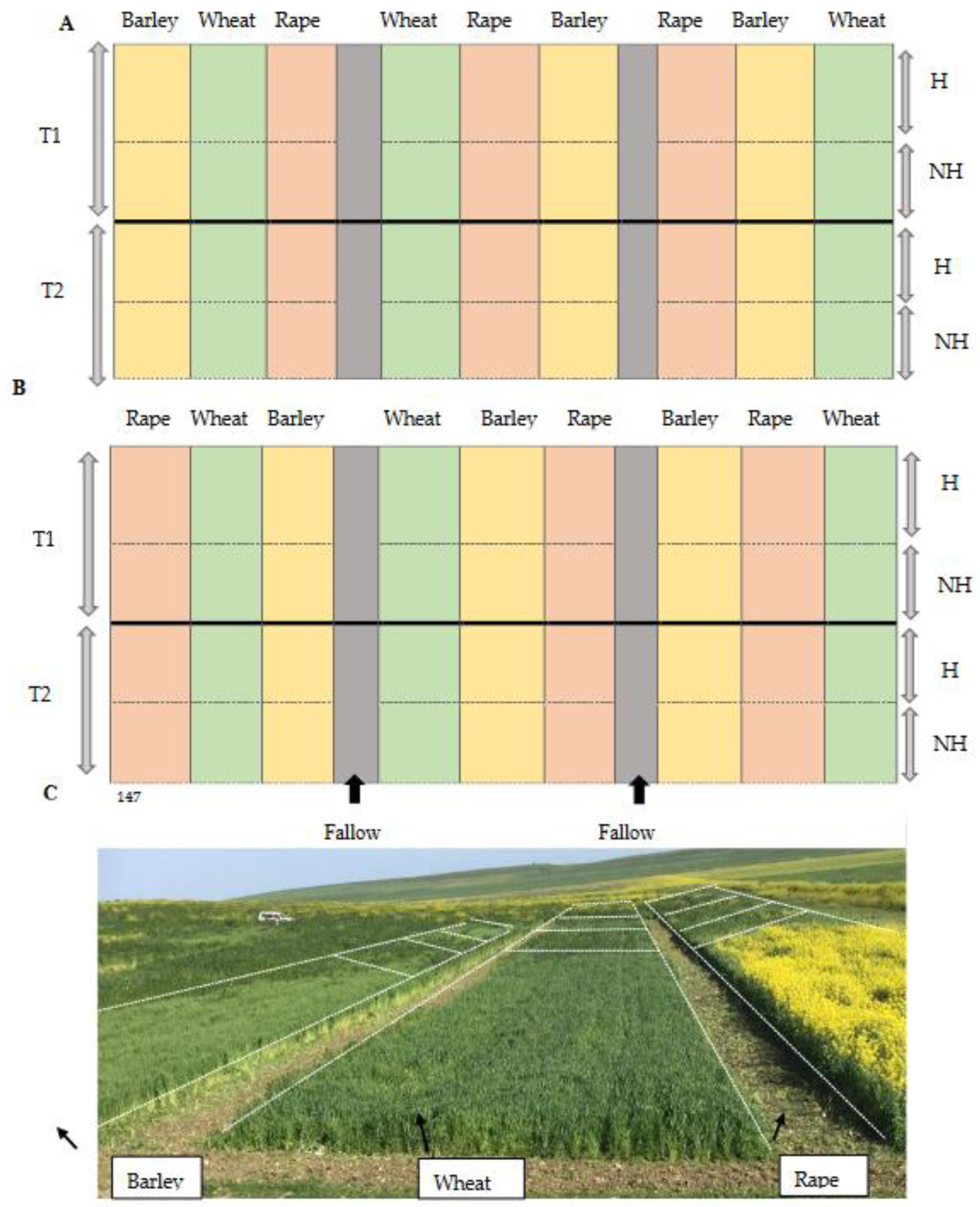 Agronomy 12 01083 g001