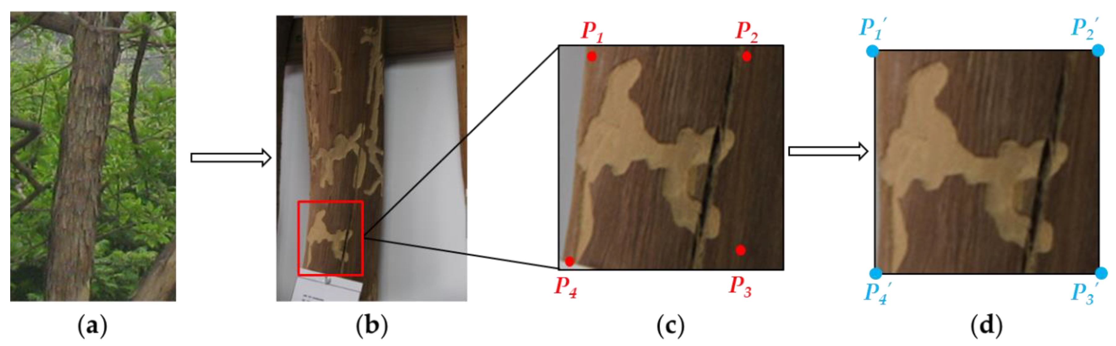 Agronomy 12 01087 g002