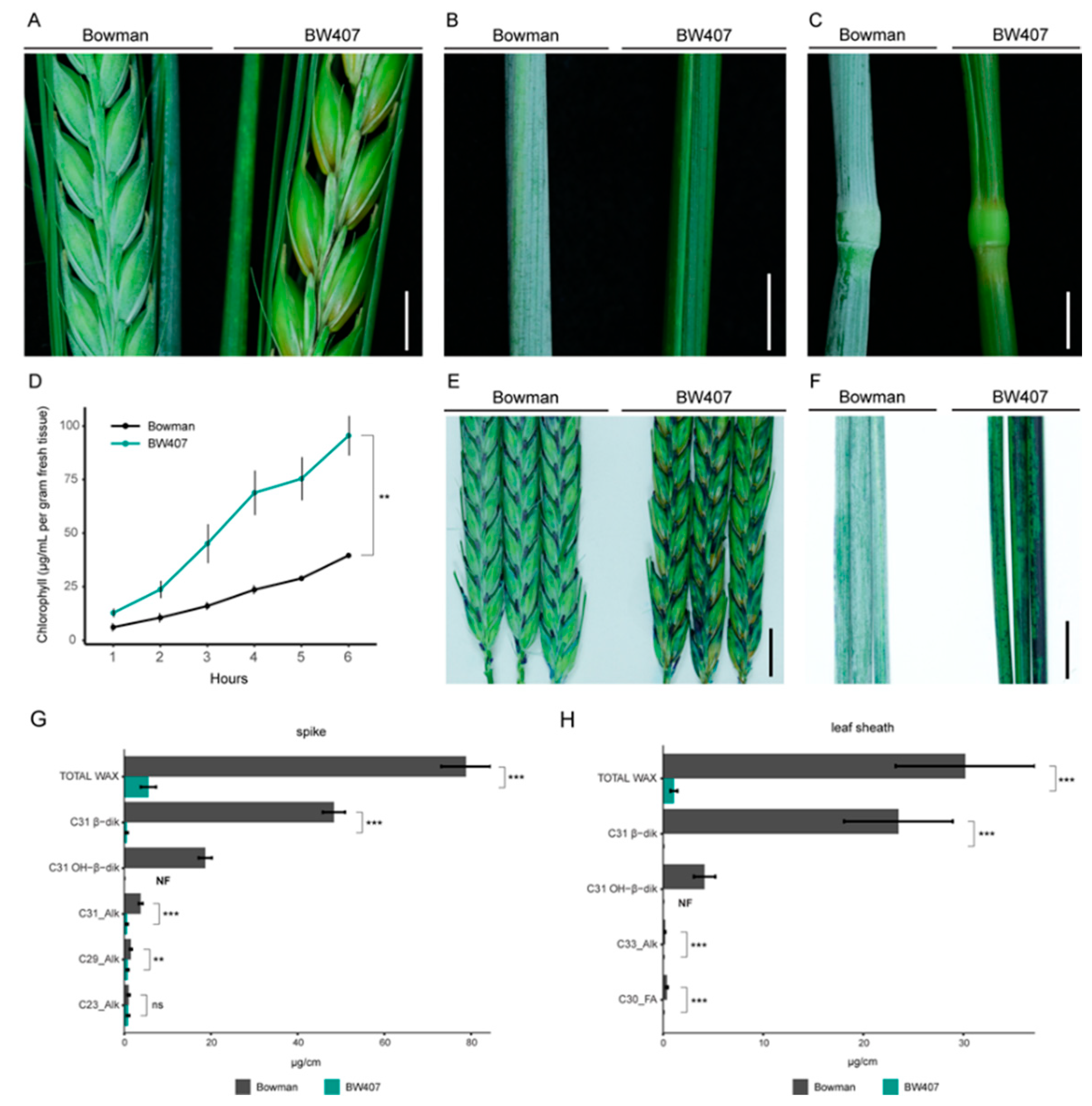 Agronomy 12 01088 g001