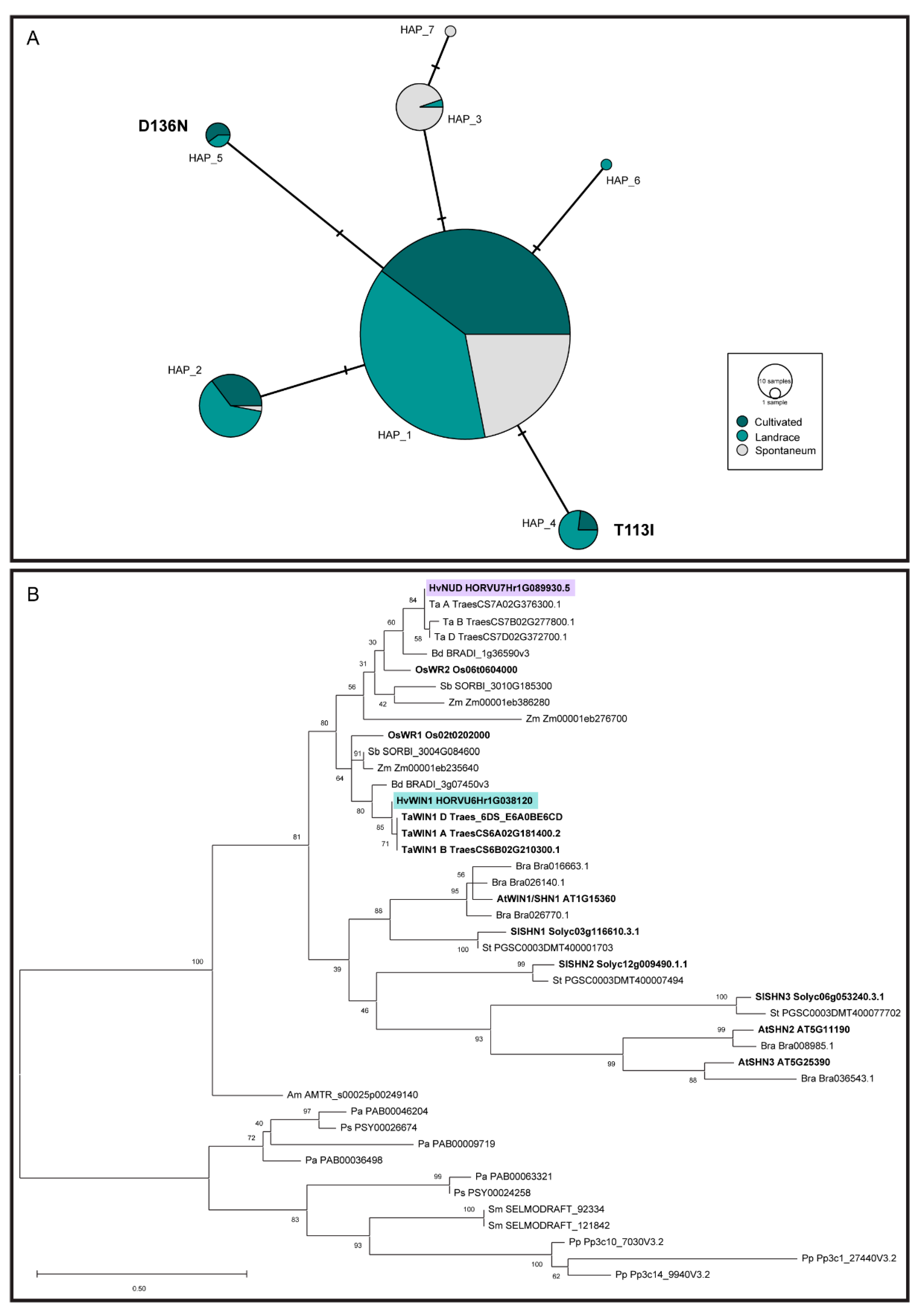 Agronomy 12 01088 g003