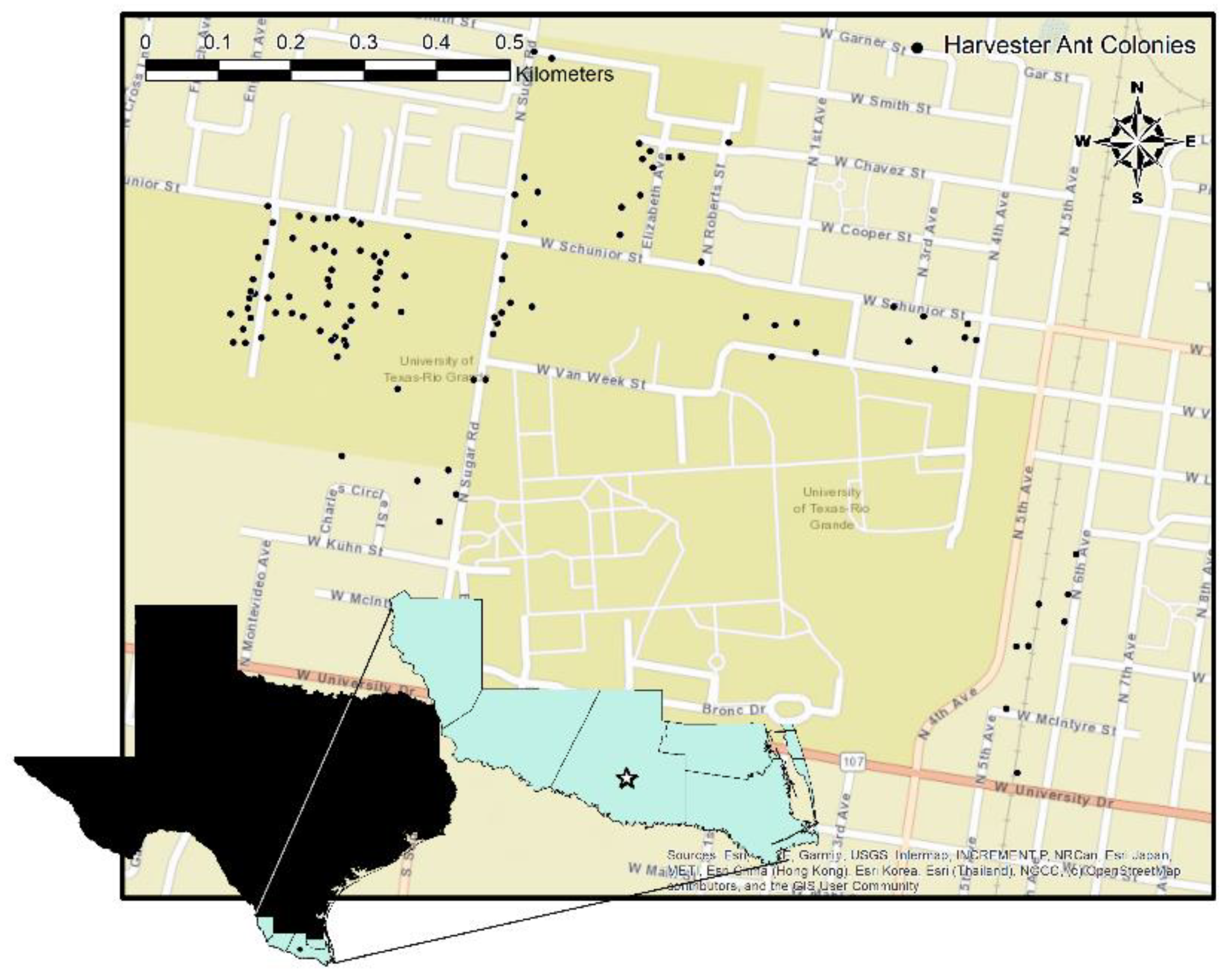 Agronomy 12 01099 g001