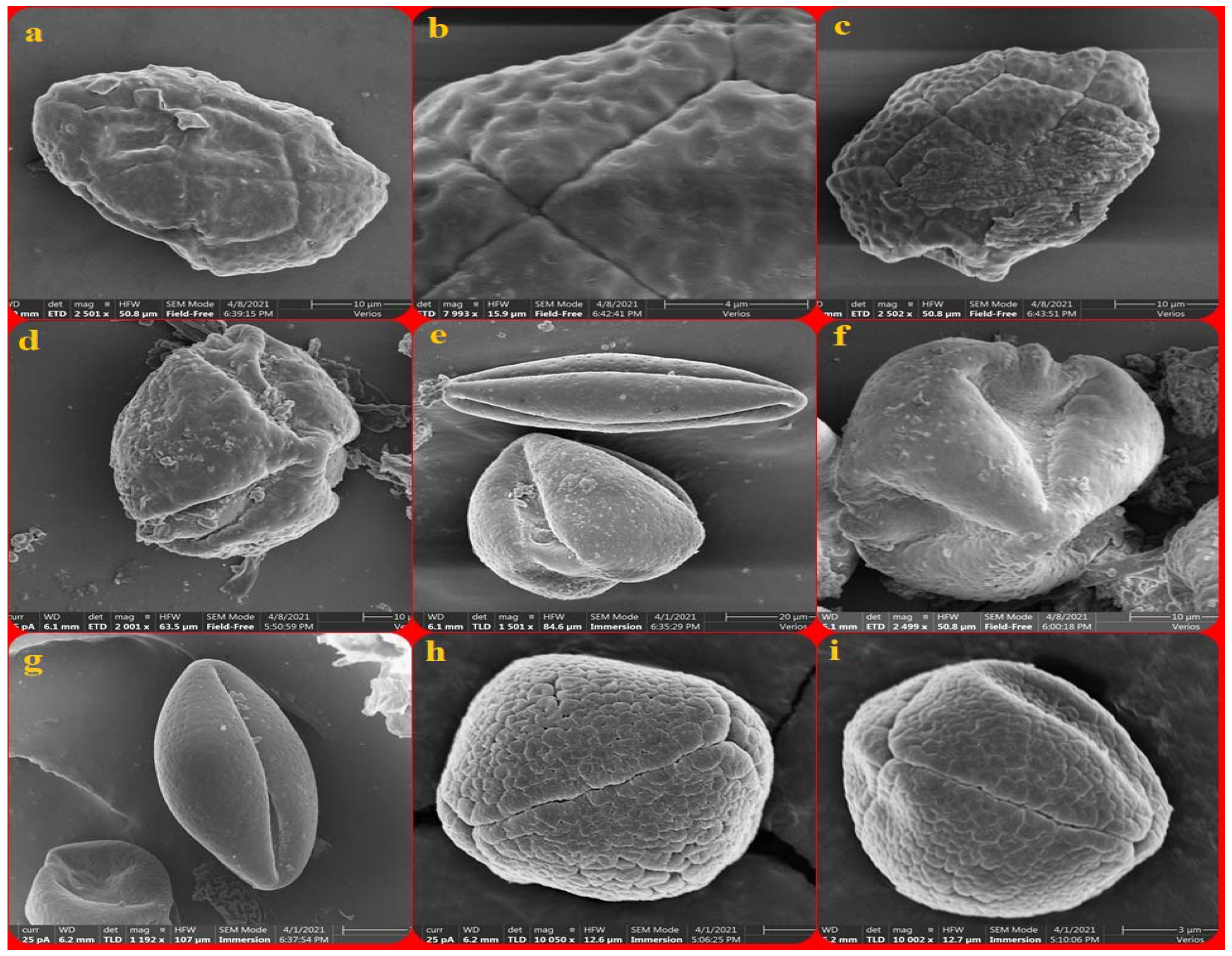 Agronomy 12 01122 g001 Agronomy 12 01122 g001