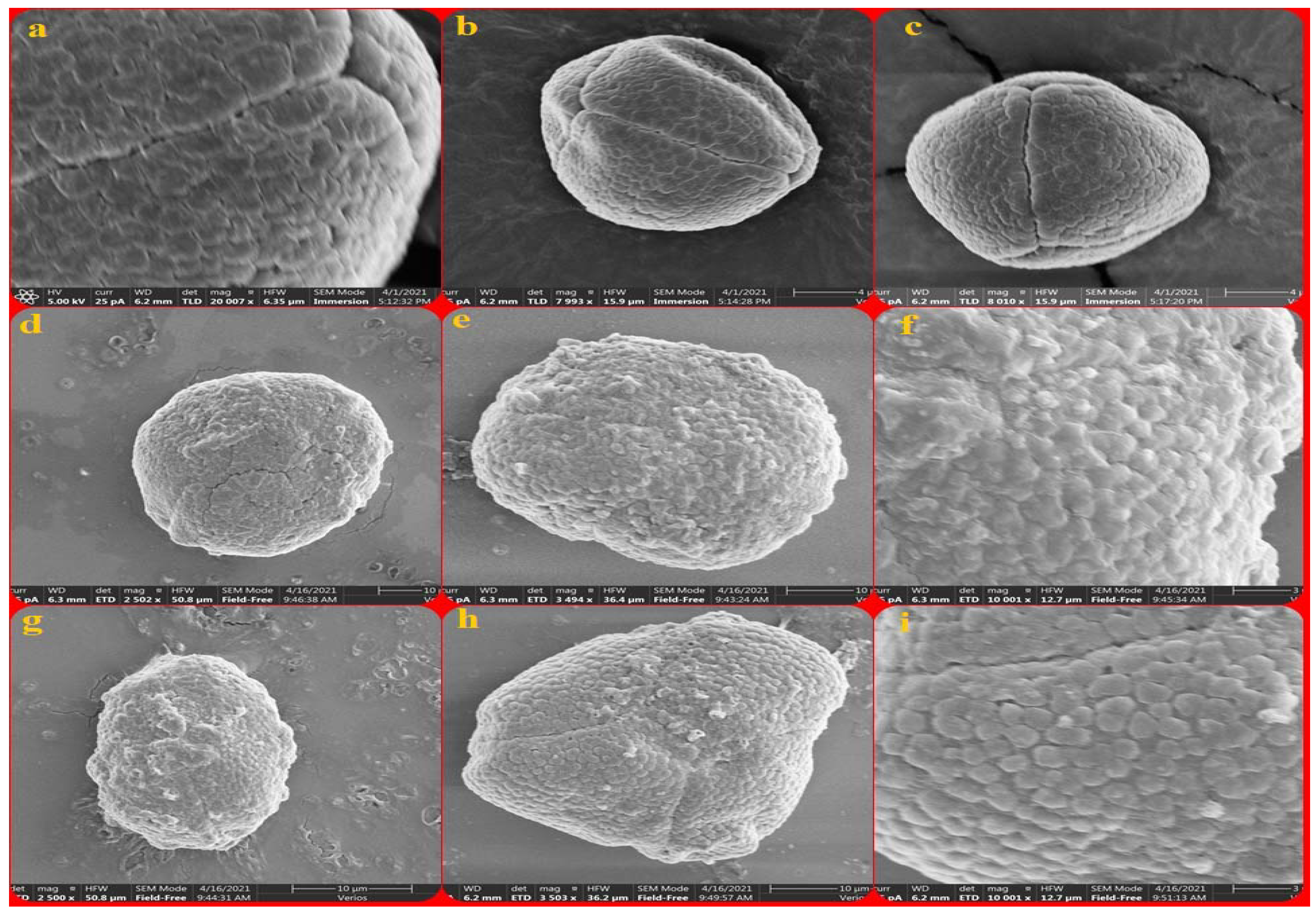 Agronomy 12 01122 g002 Agronomy 12 01122 g002