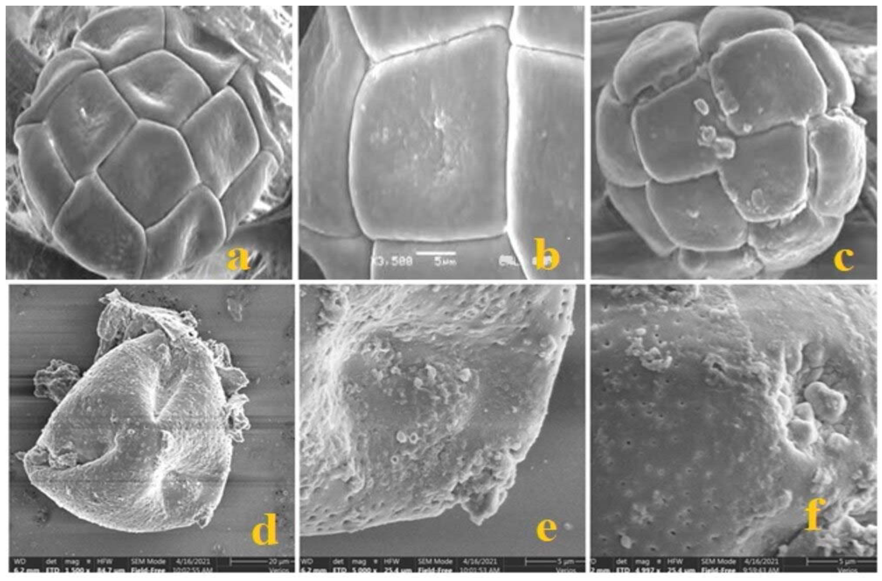 Agronomy 12 01122 g003 Agronomy 12 01122 g003