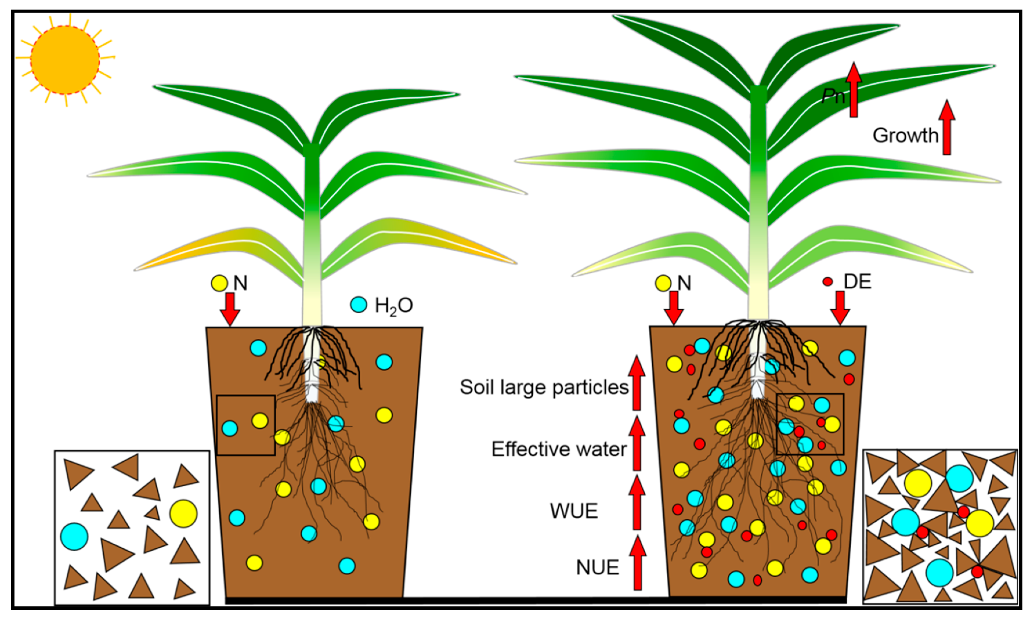 Agronomy 12 01124 g007