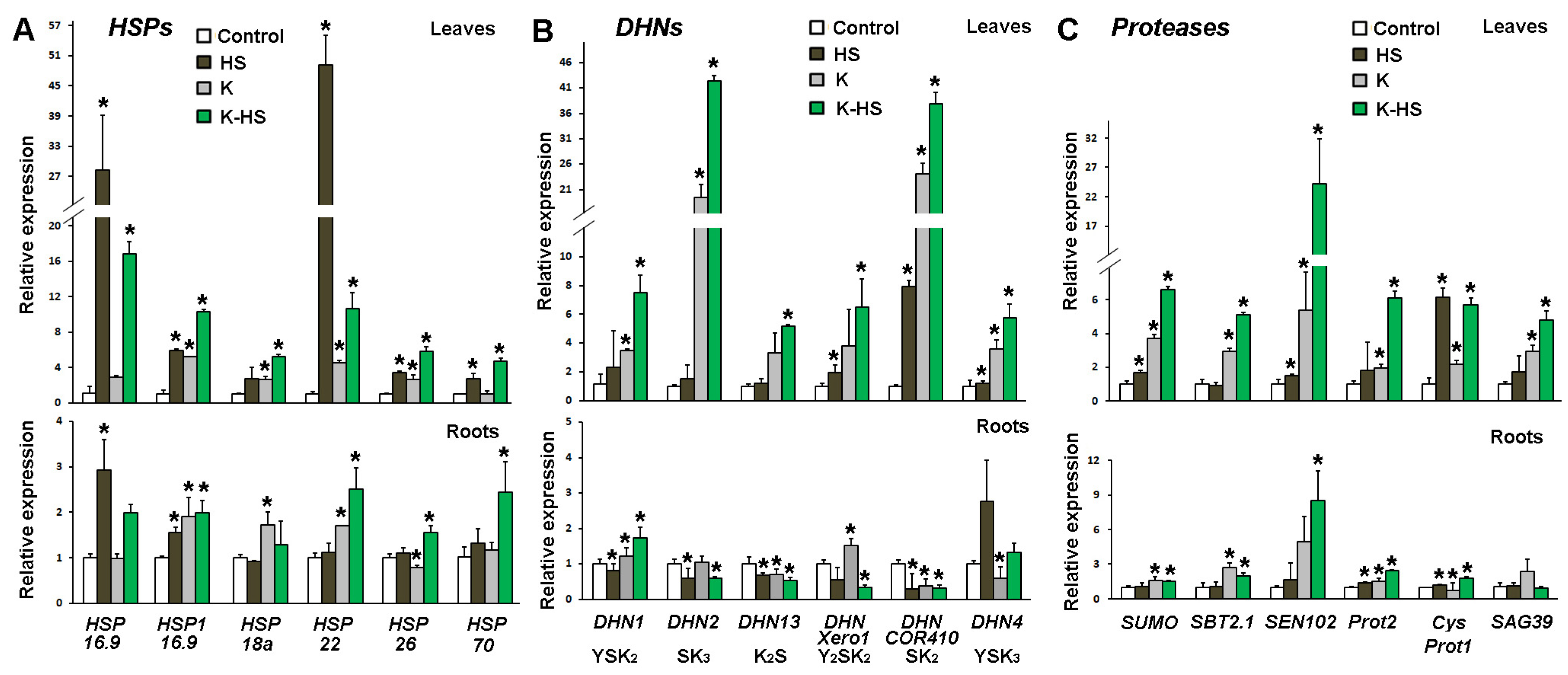Agronomy 12 01127 g007