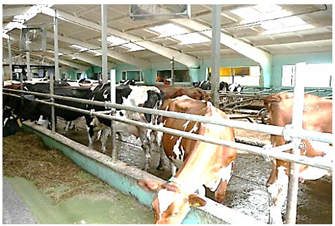 Agronomy 12 01131 i003