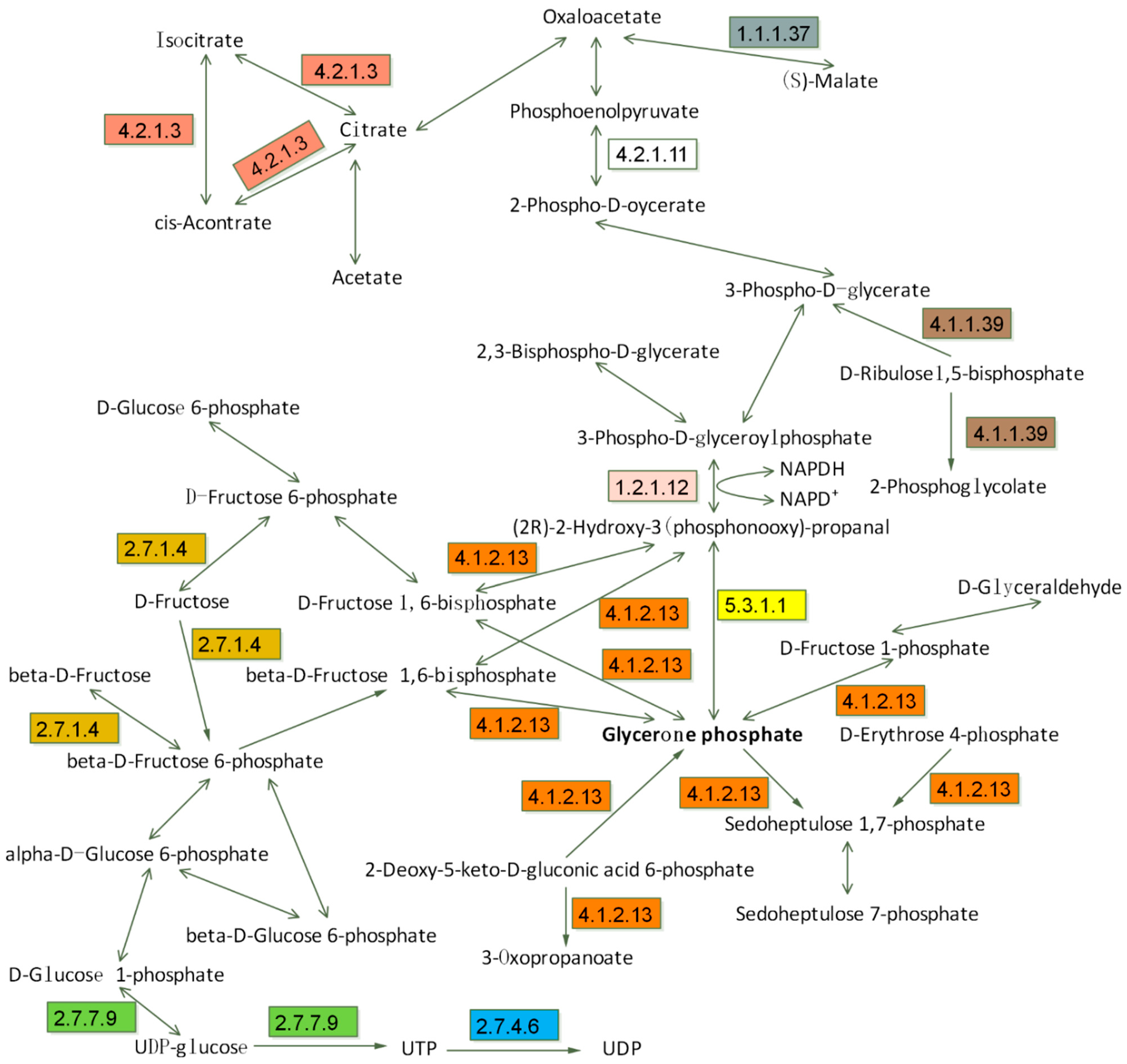 Agronomy 12 01152 g004