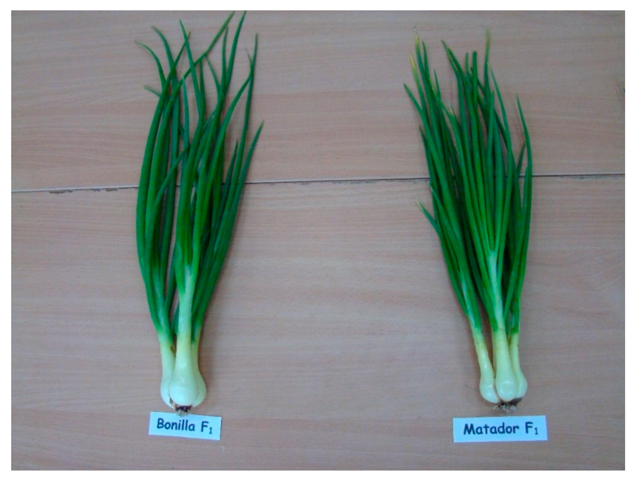 Agronomy 12 01156 g001