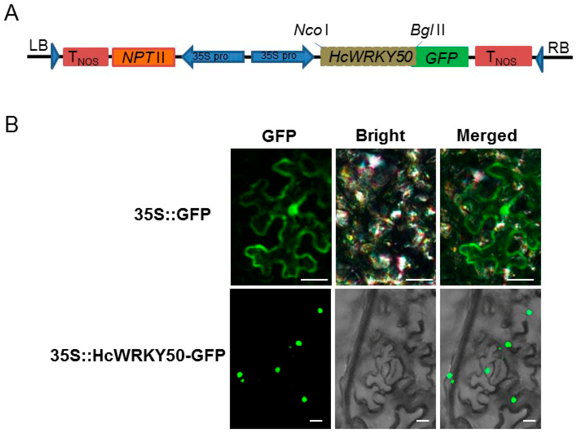 Agronomy 12 01176 g003