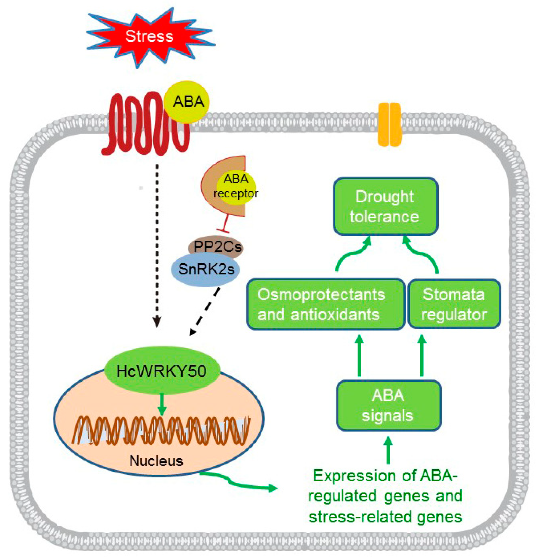 Agronomy 12 01176 g008