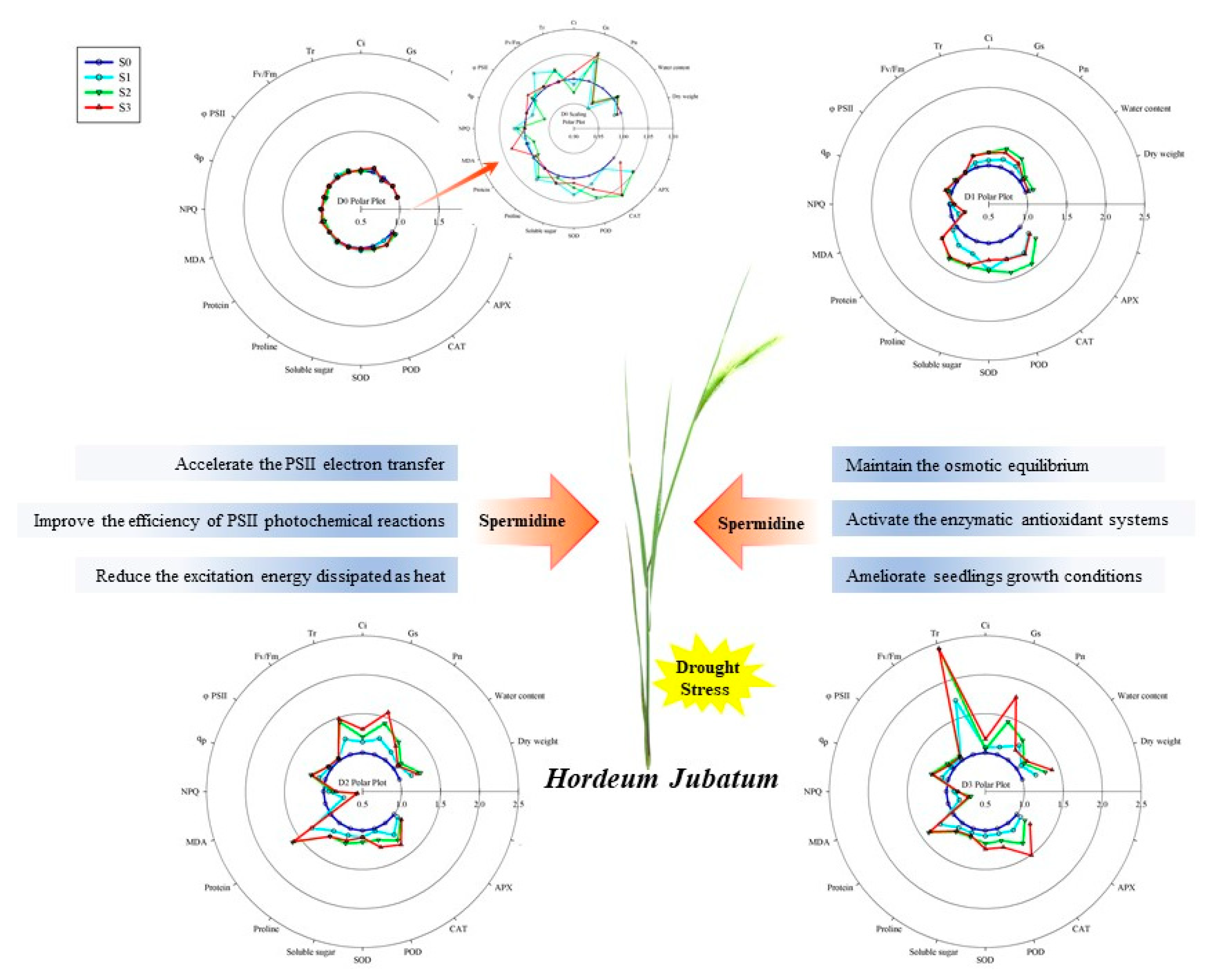 Agronomy 12 01180 g006
