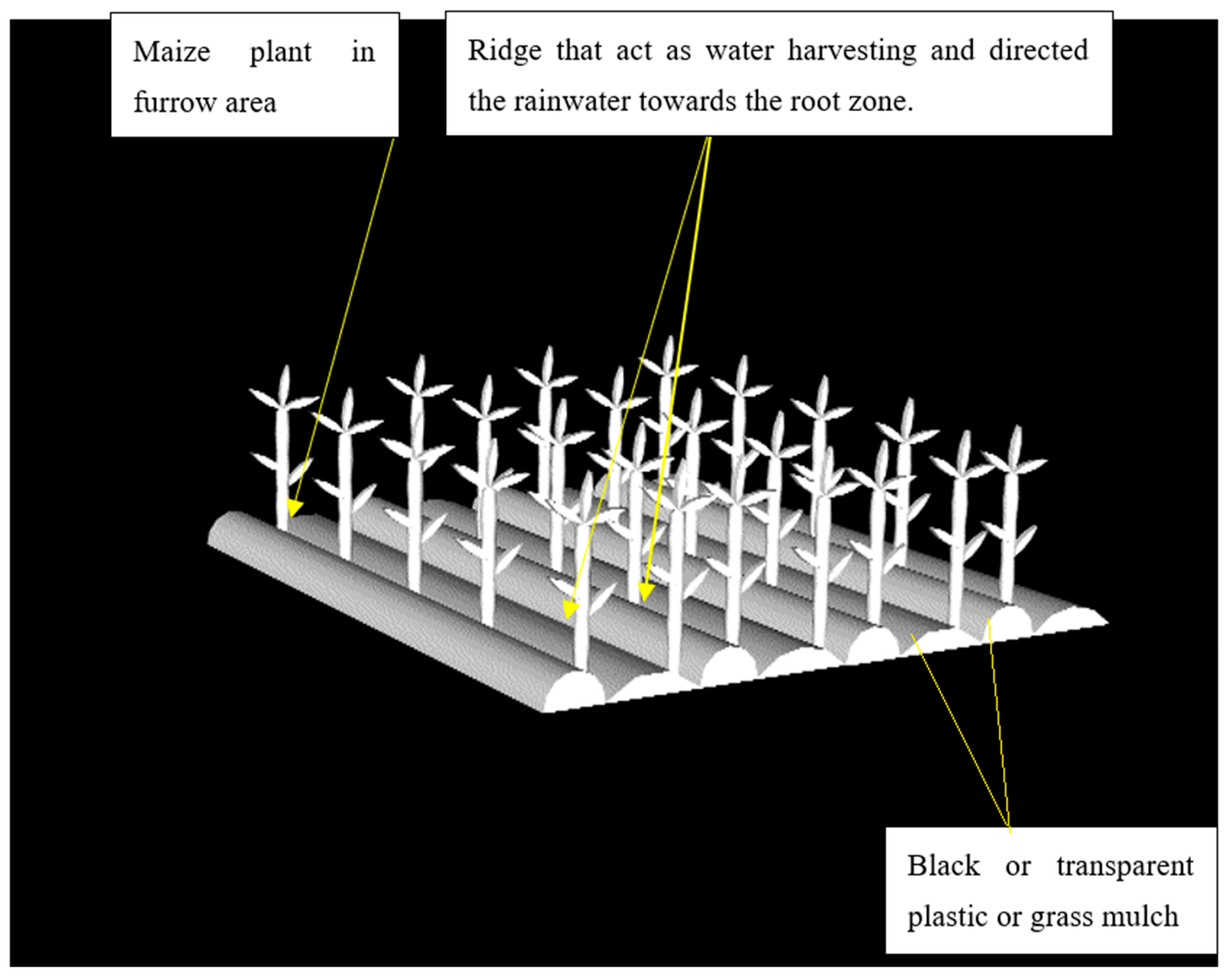 Agronomy 12 01187 g002