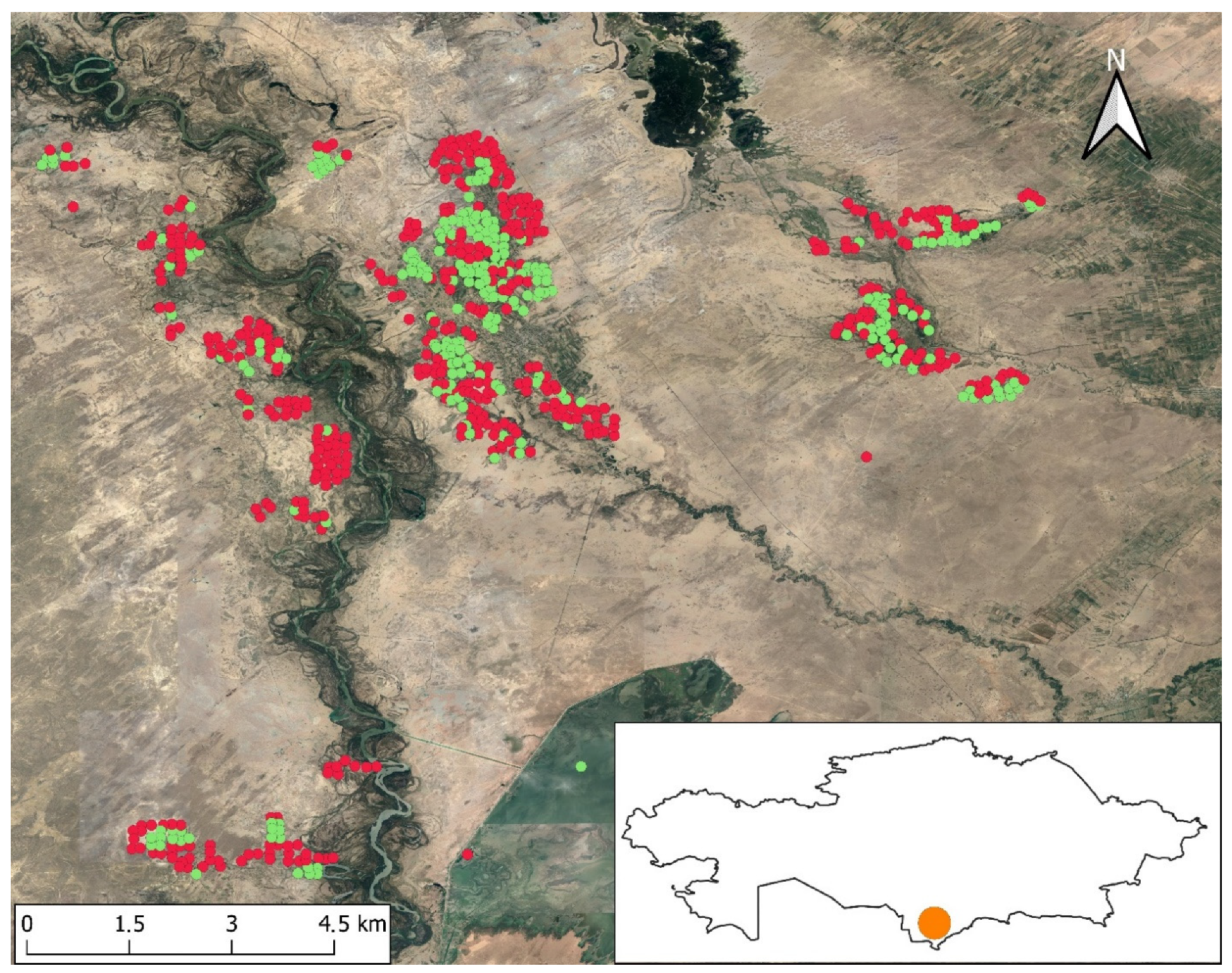 Agronomy 12 01207 g001
