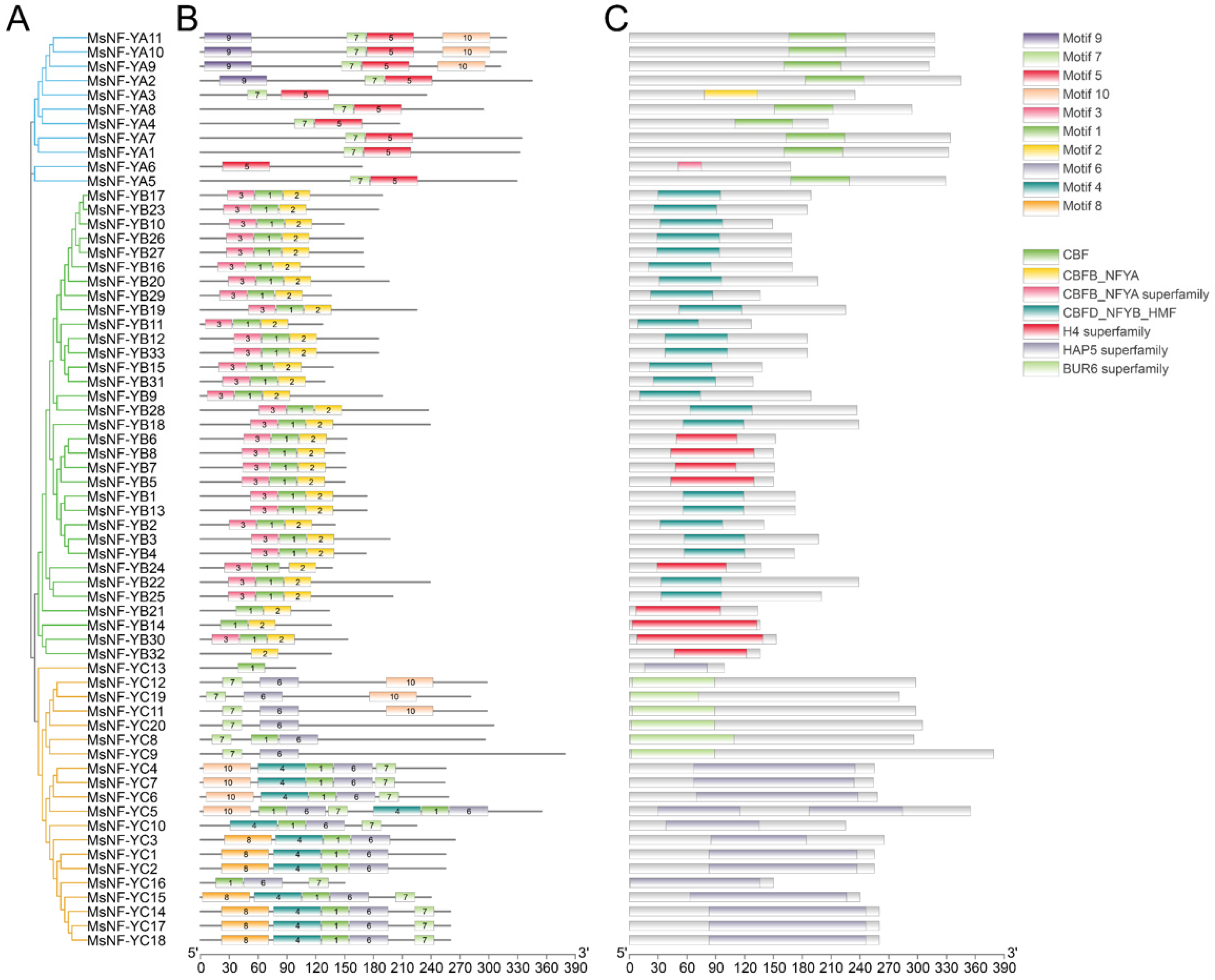Agronomy 12 01237 g002