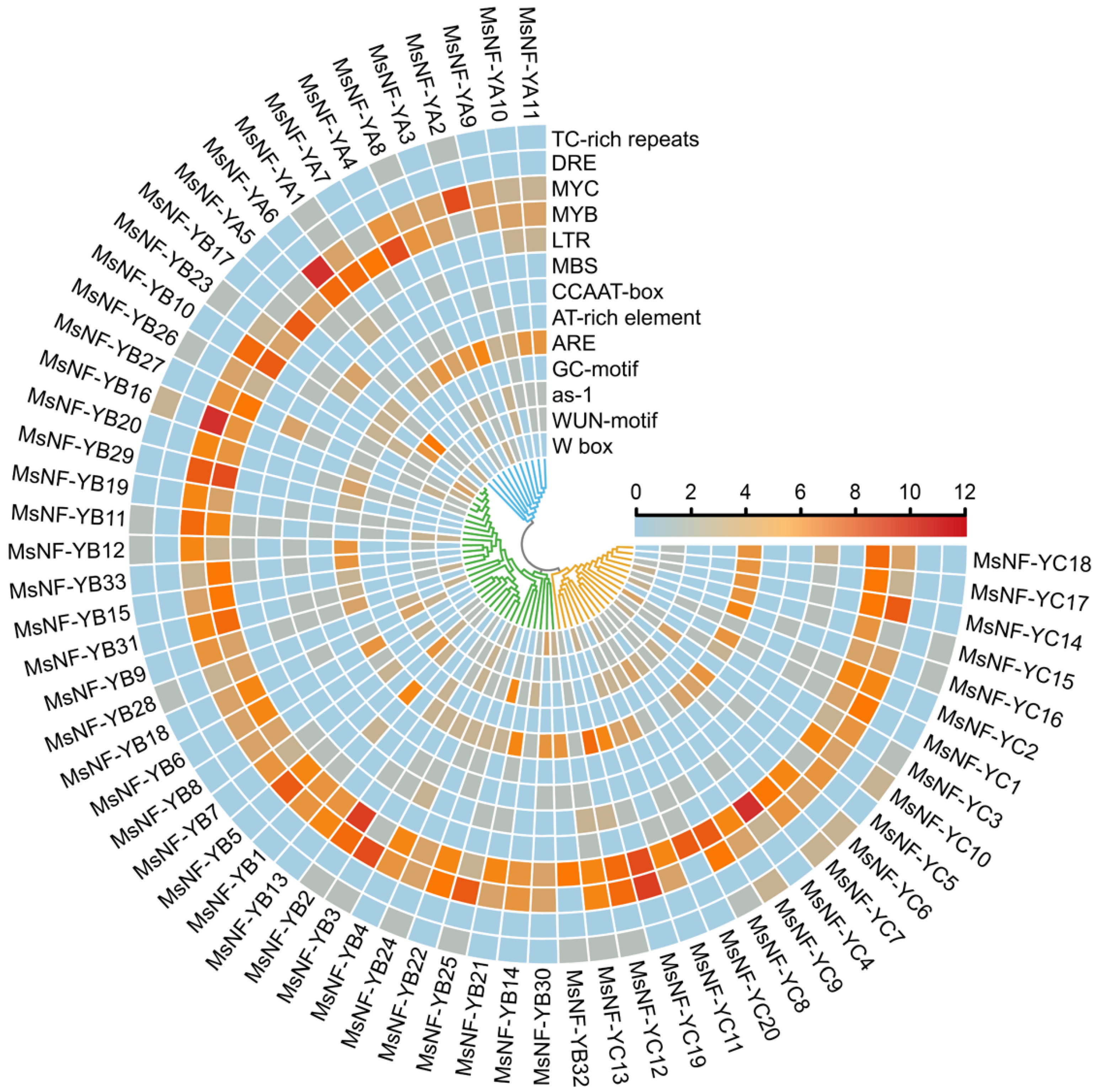 Agronomy 12 01237 g004