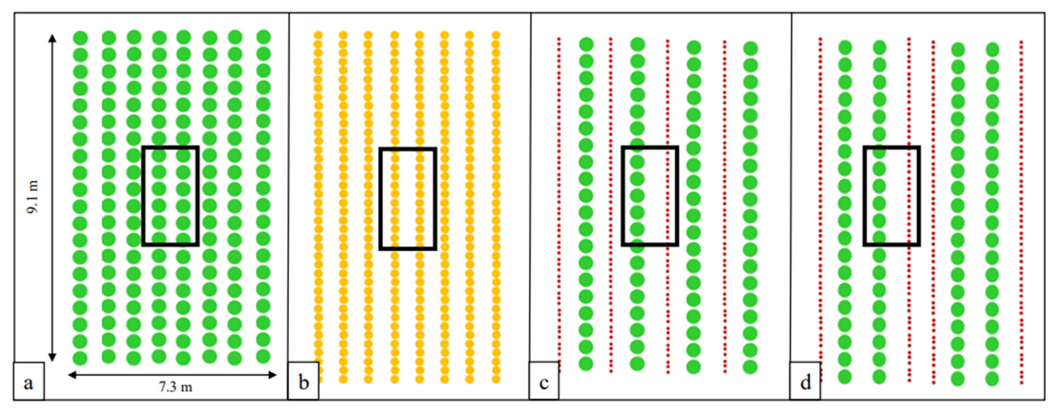 Agronomy 12 01238 g001