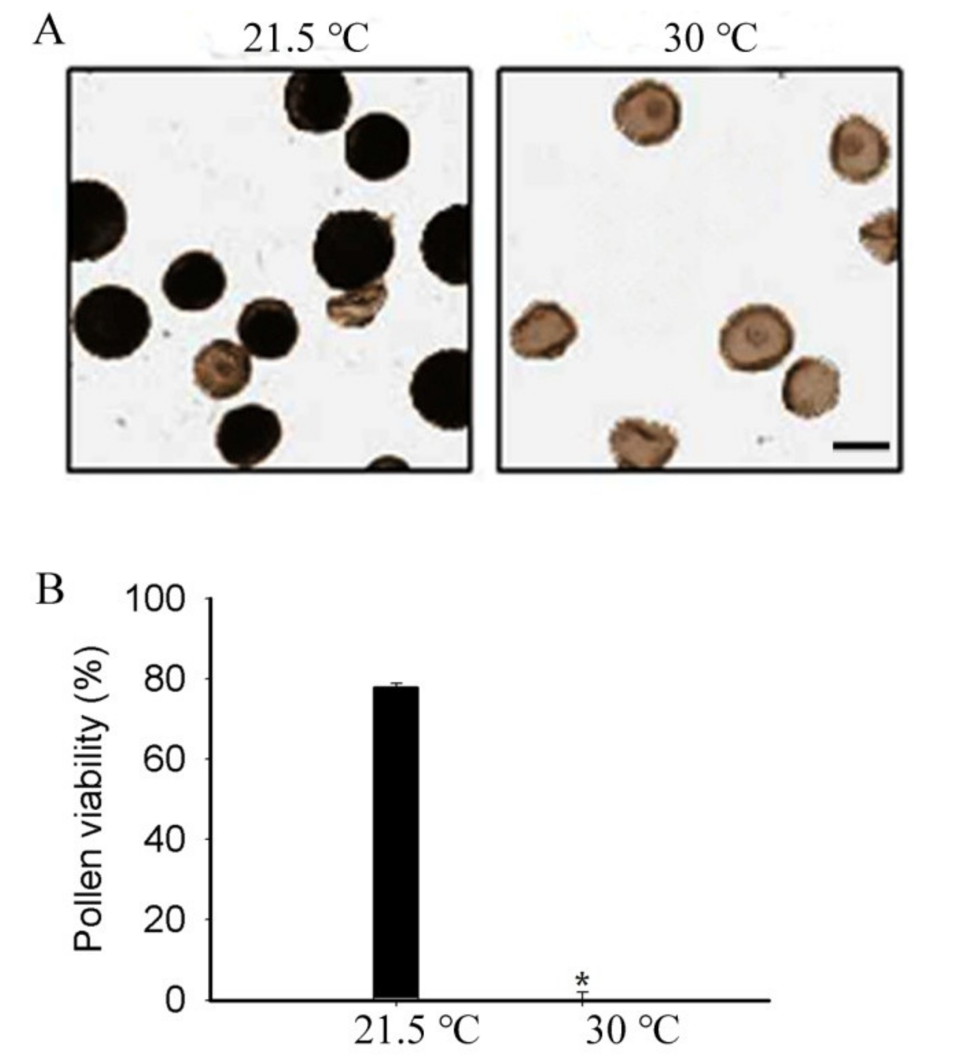 Agronomy 12 01255 g001