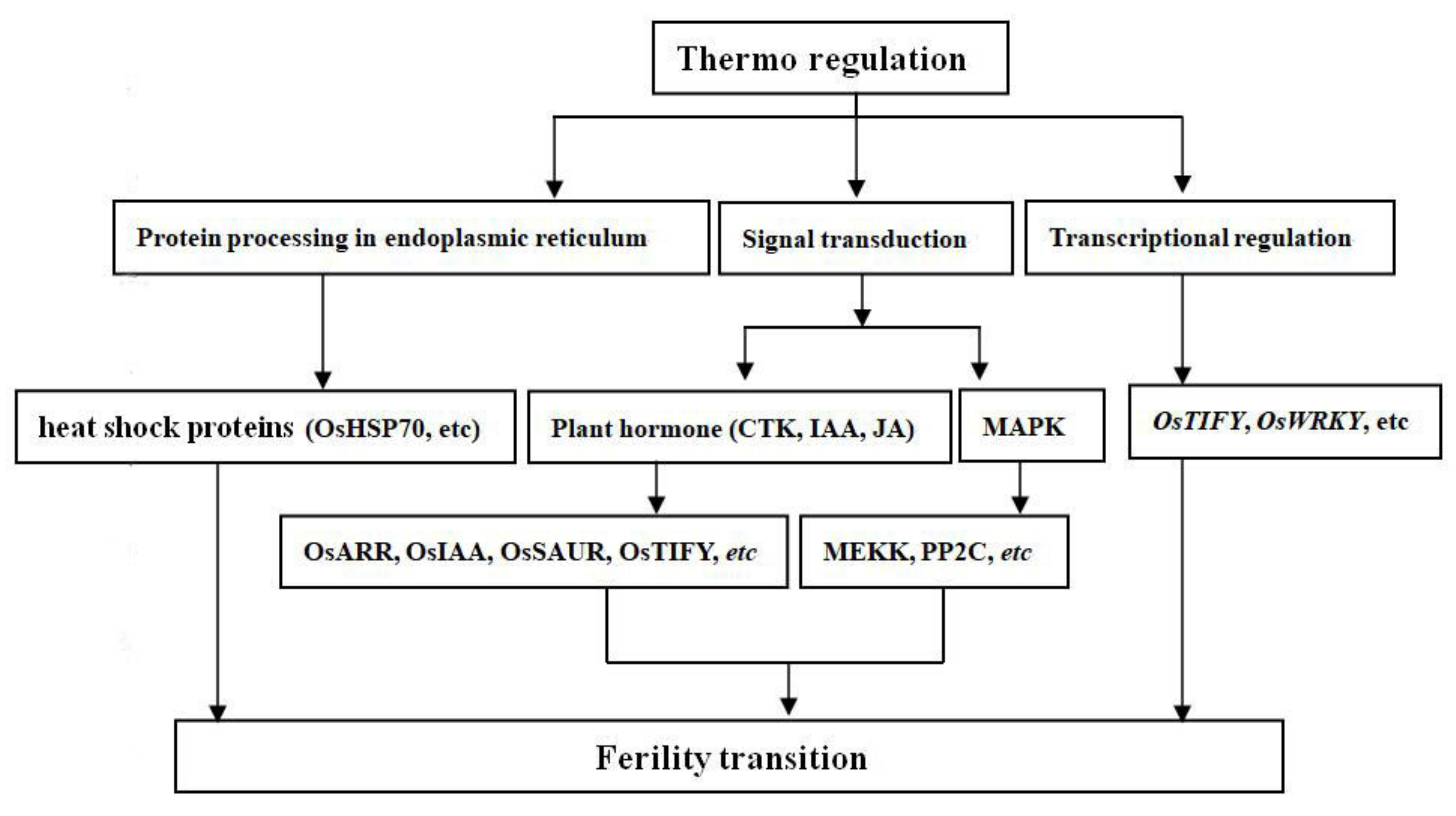 Agronomy 12 01255 g007