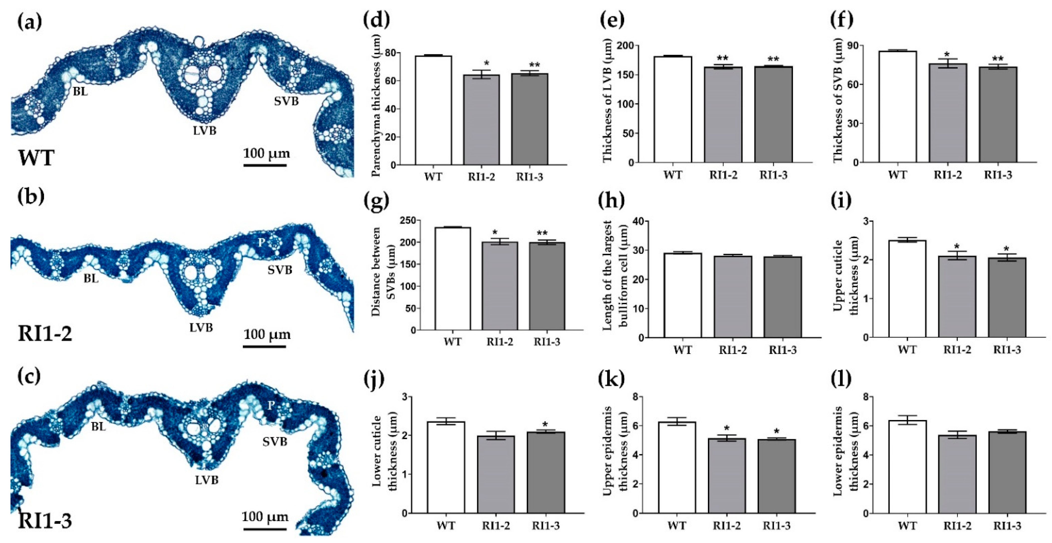 Agronomy 12 01272 g003