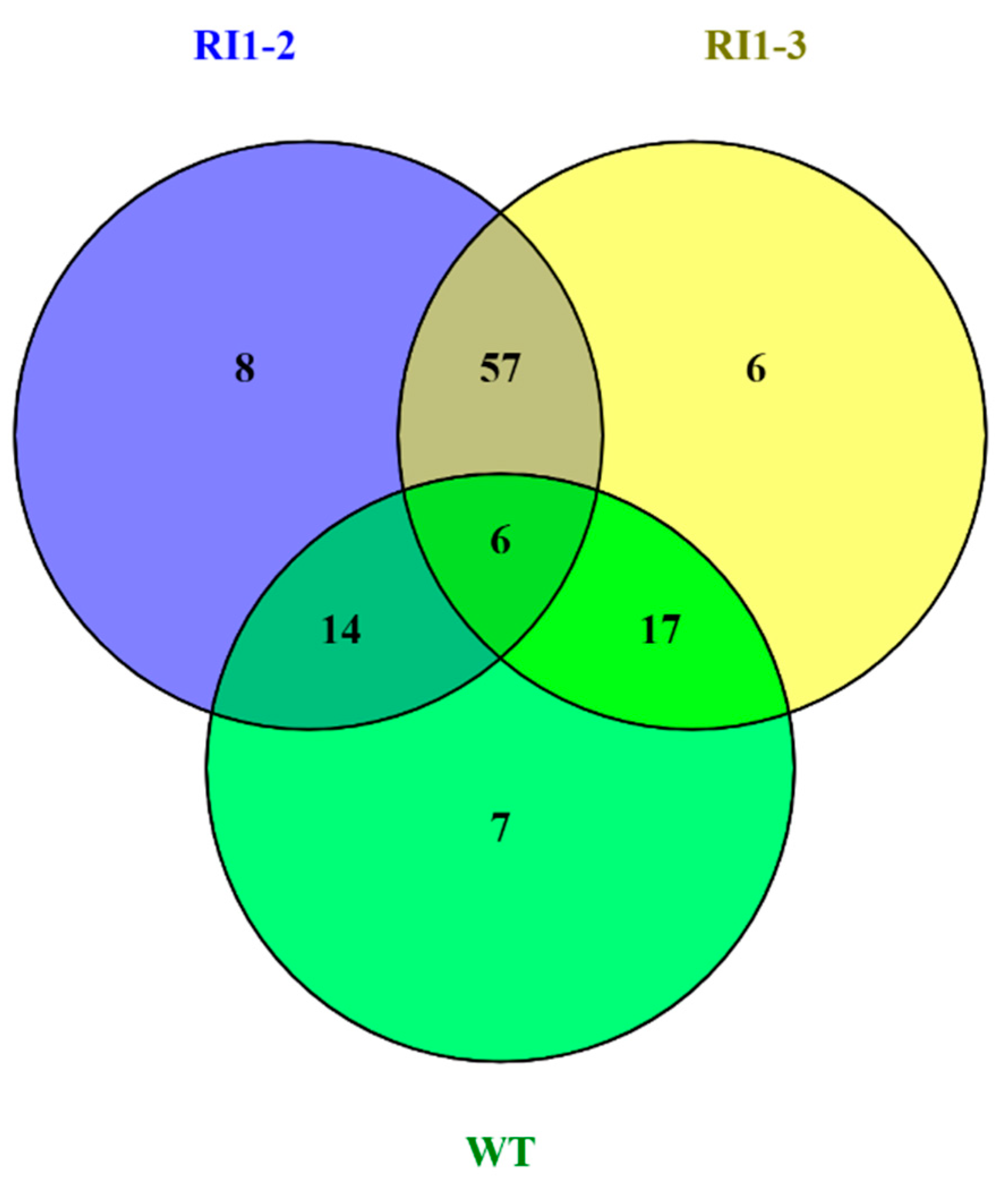 Agronomy 12 01272 g005