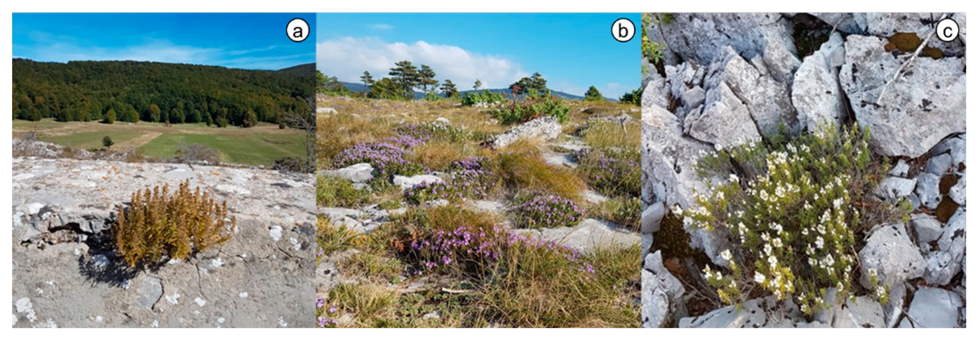 Agronomy 12 01288 g001