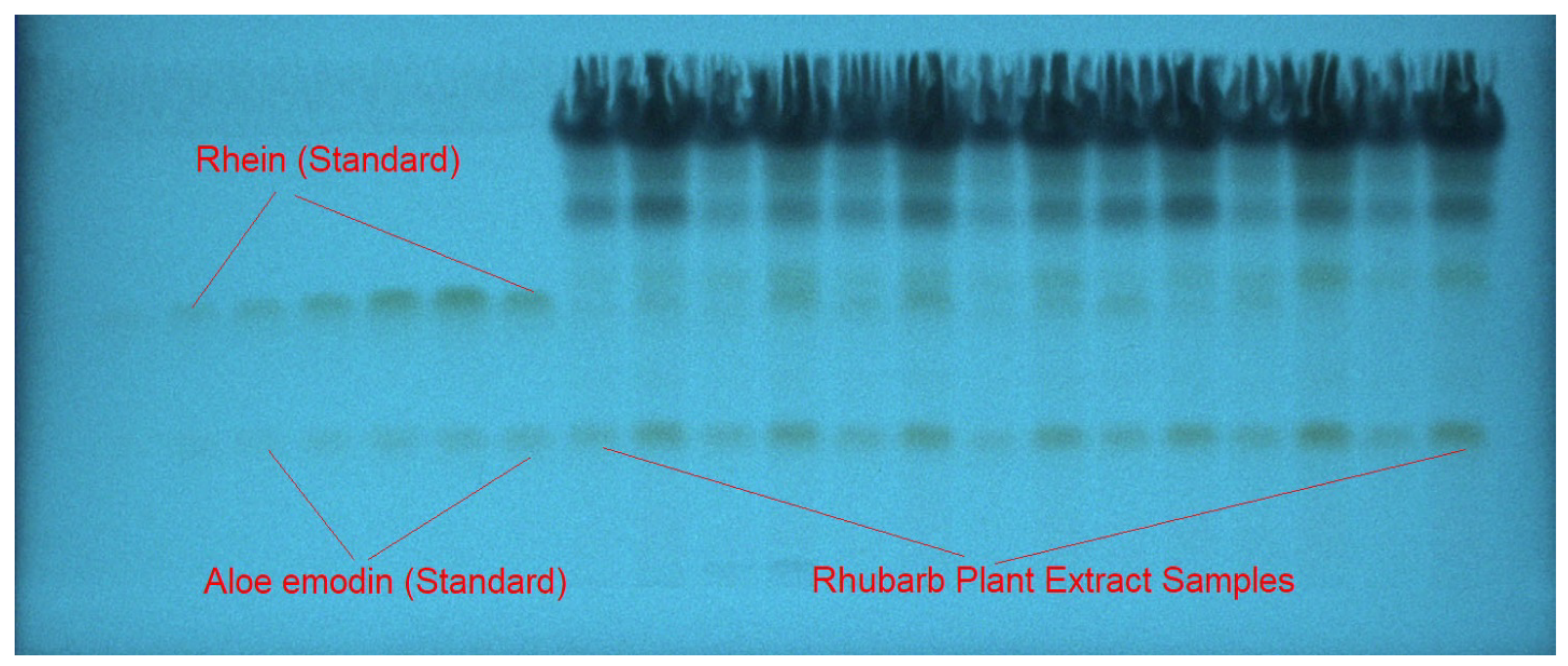 Agronomy 12 01295 g003