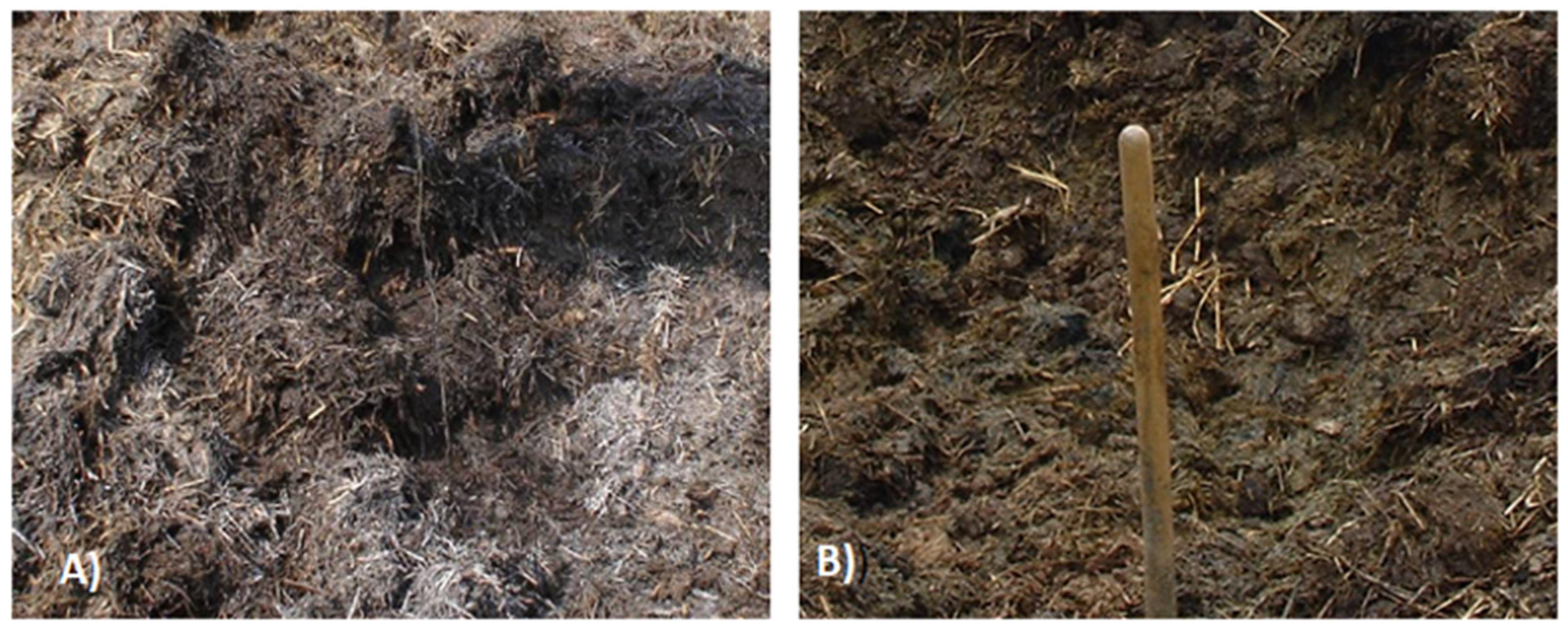 Agronomy 12 01305 sch001