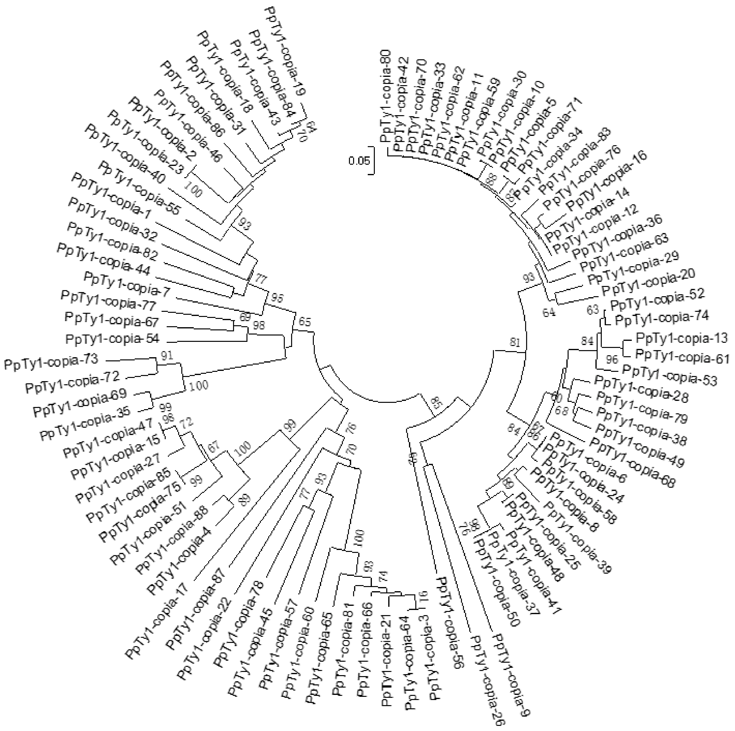 Agronomy 12 01312 g001