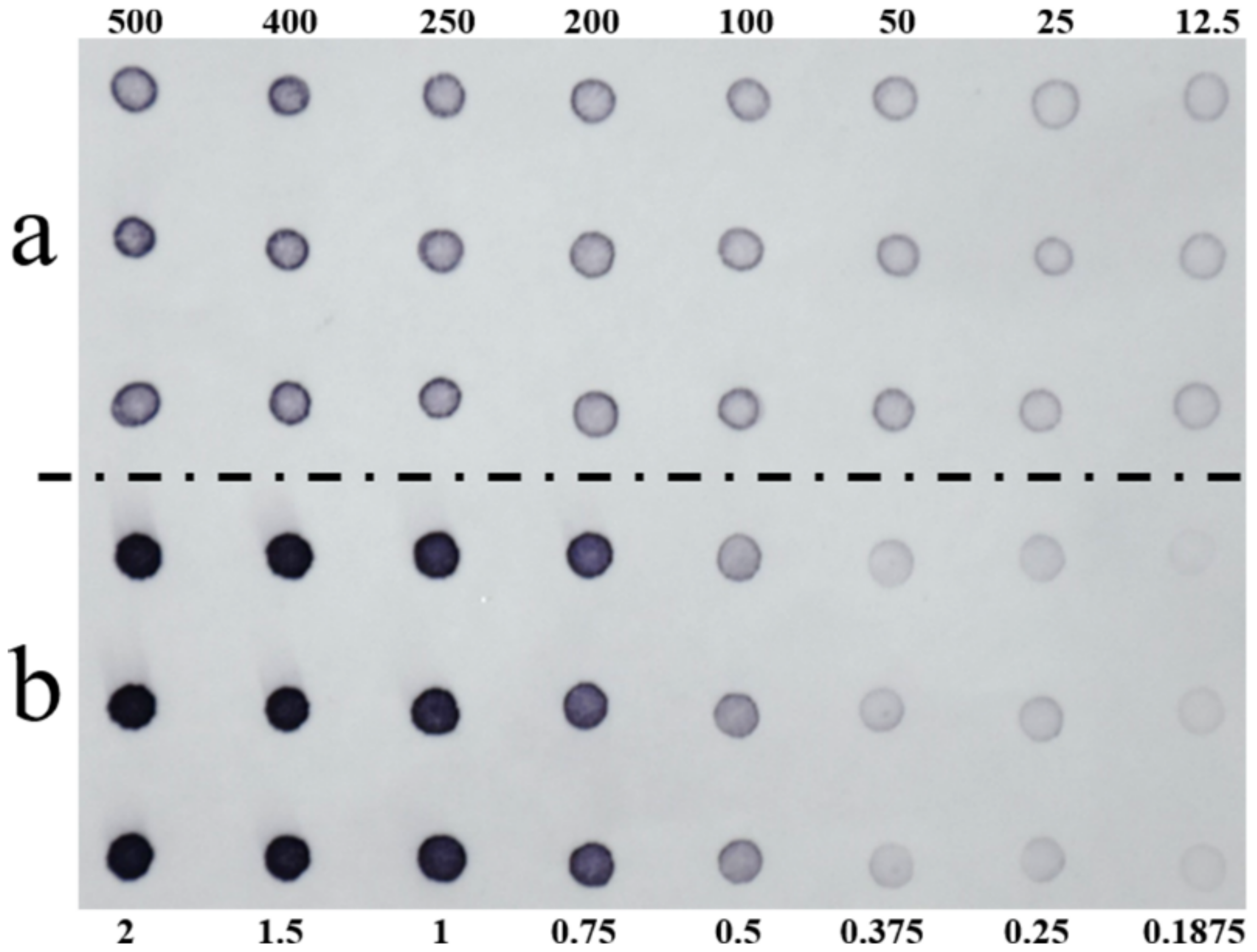 Agronomy 12 01312 g003